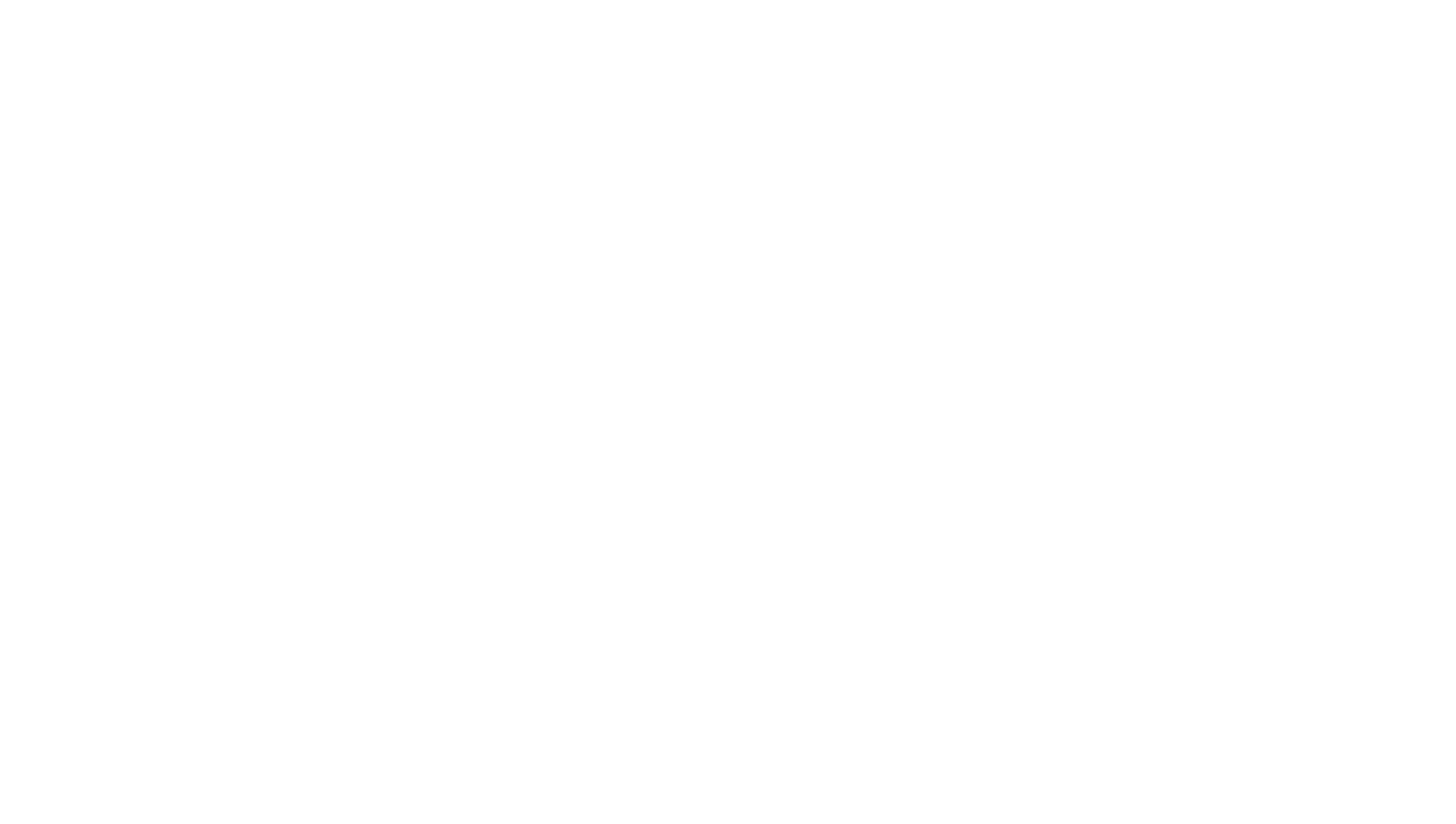 ZM_Logo_2D_White.png
