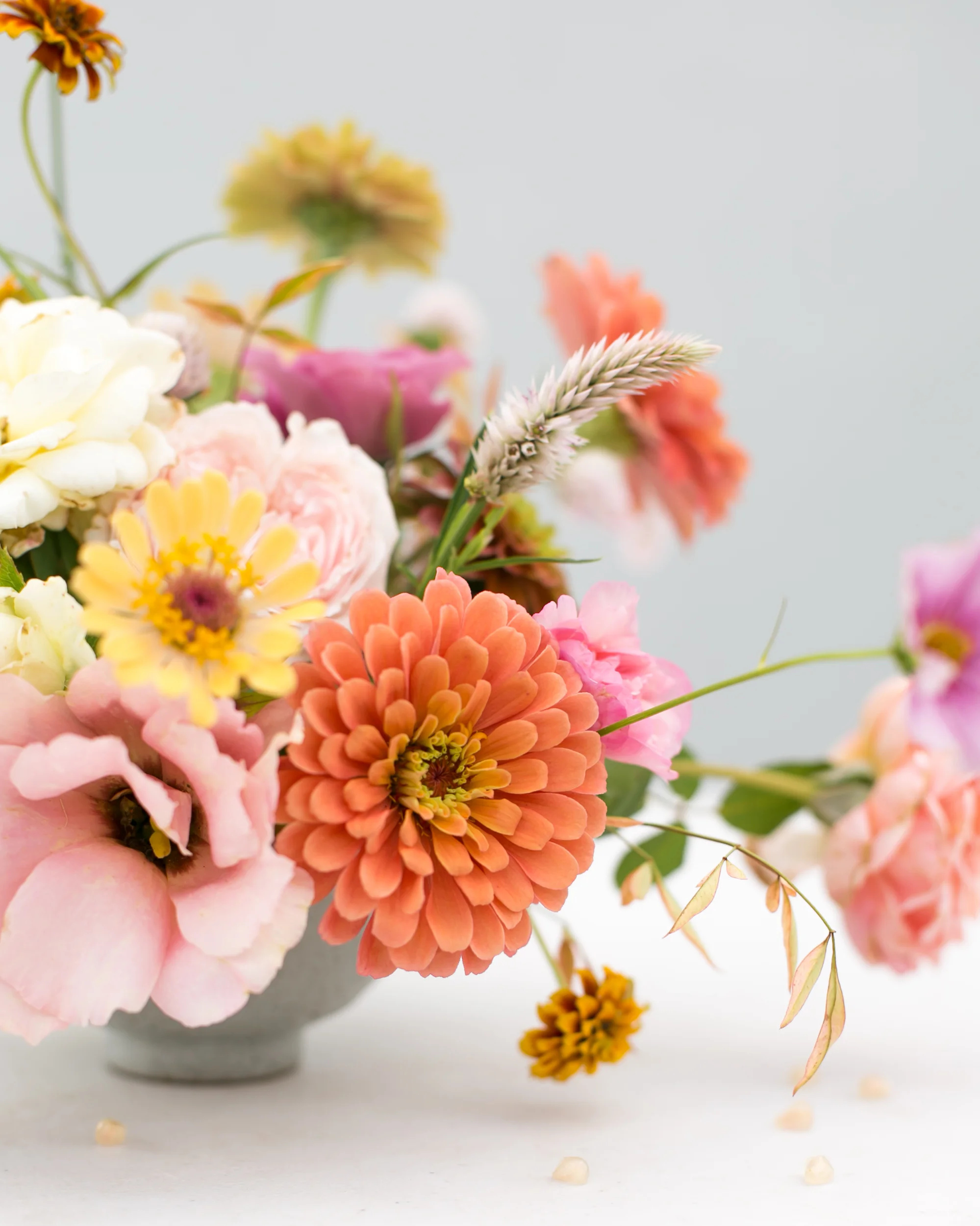 fallflowers-1.jpg