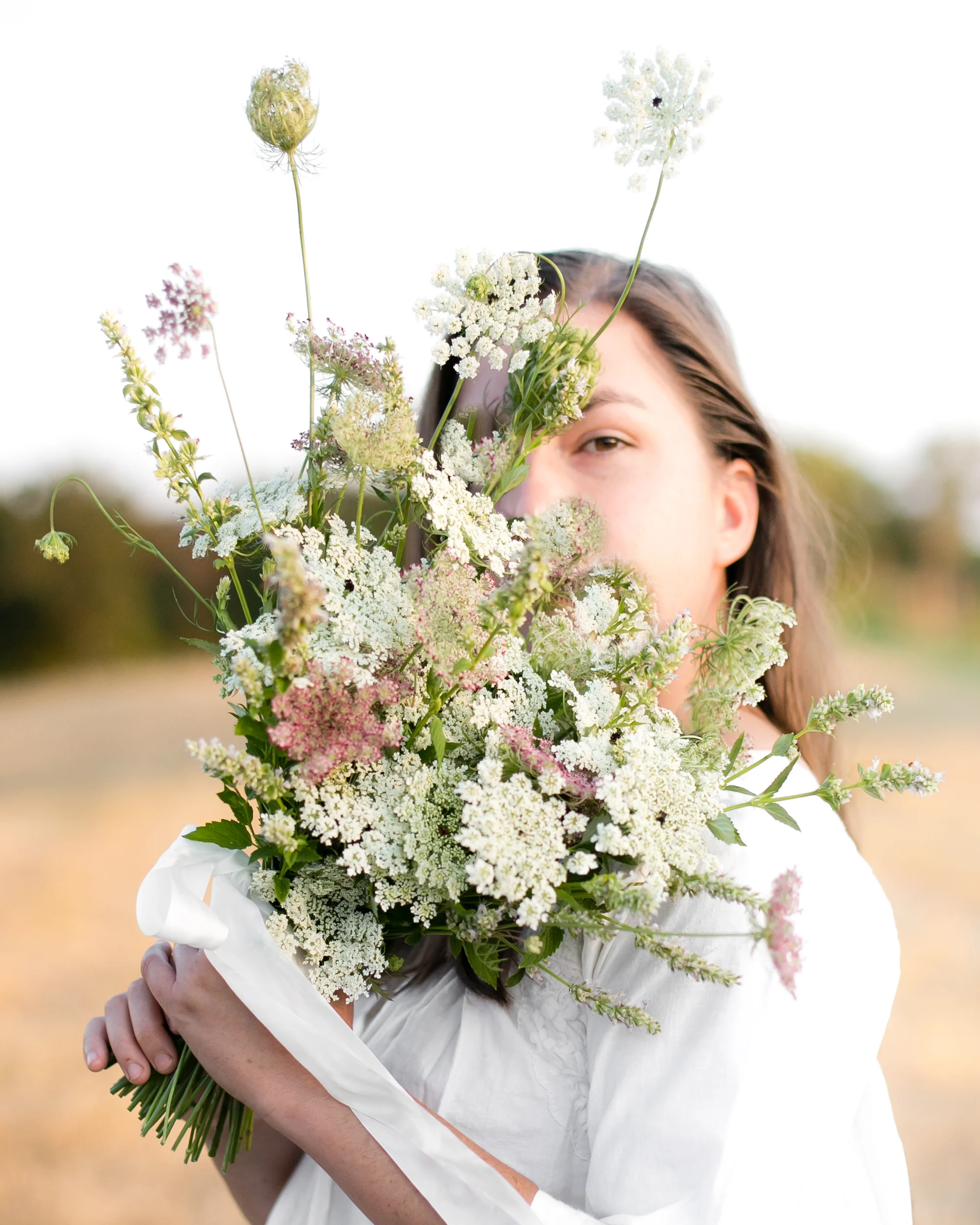 queenannehyssop-1.jpg