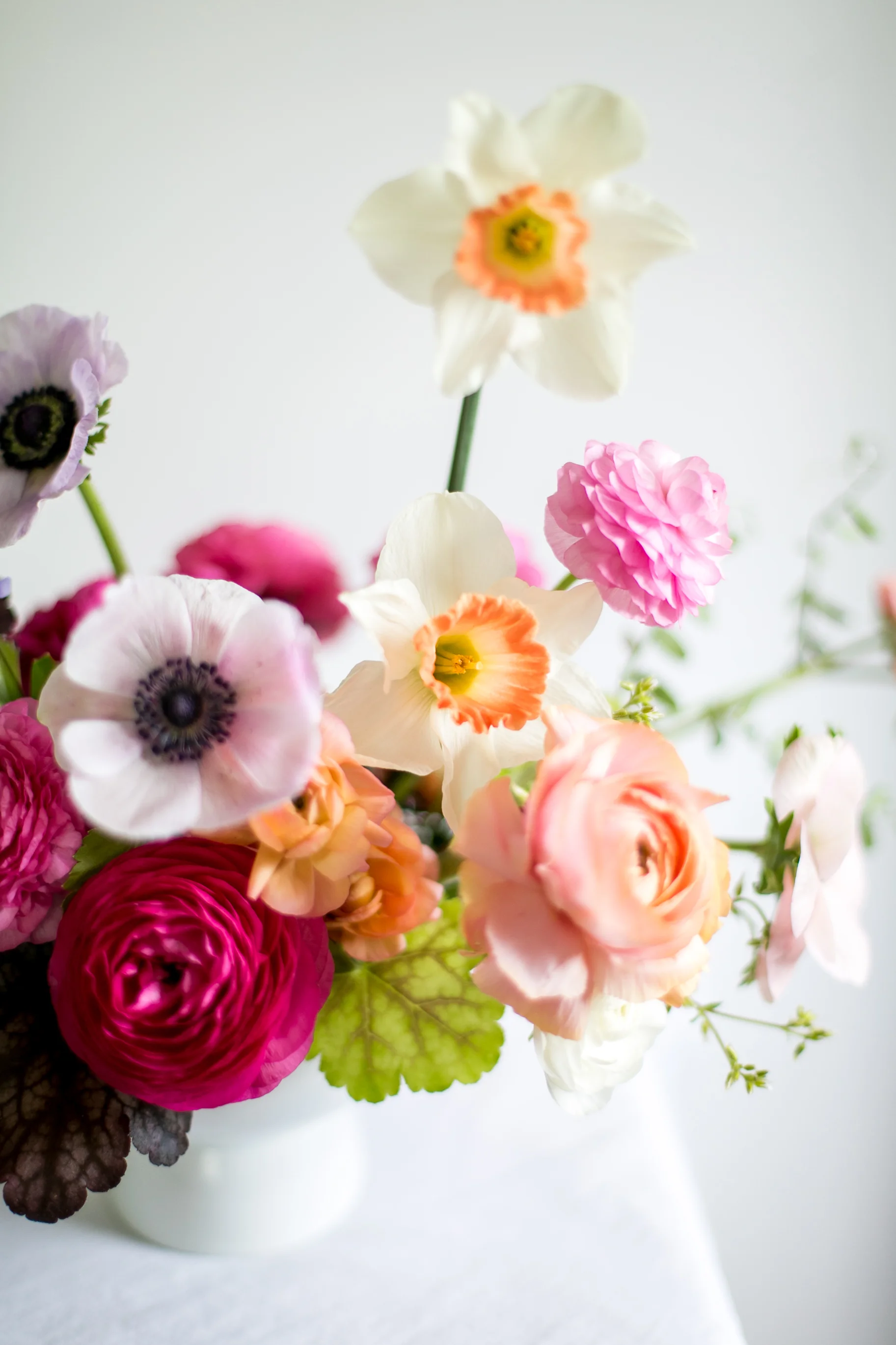 springombre-5.jpg