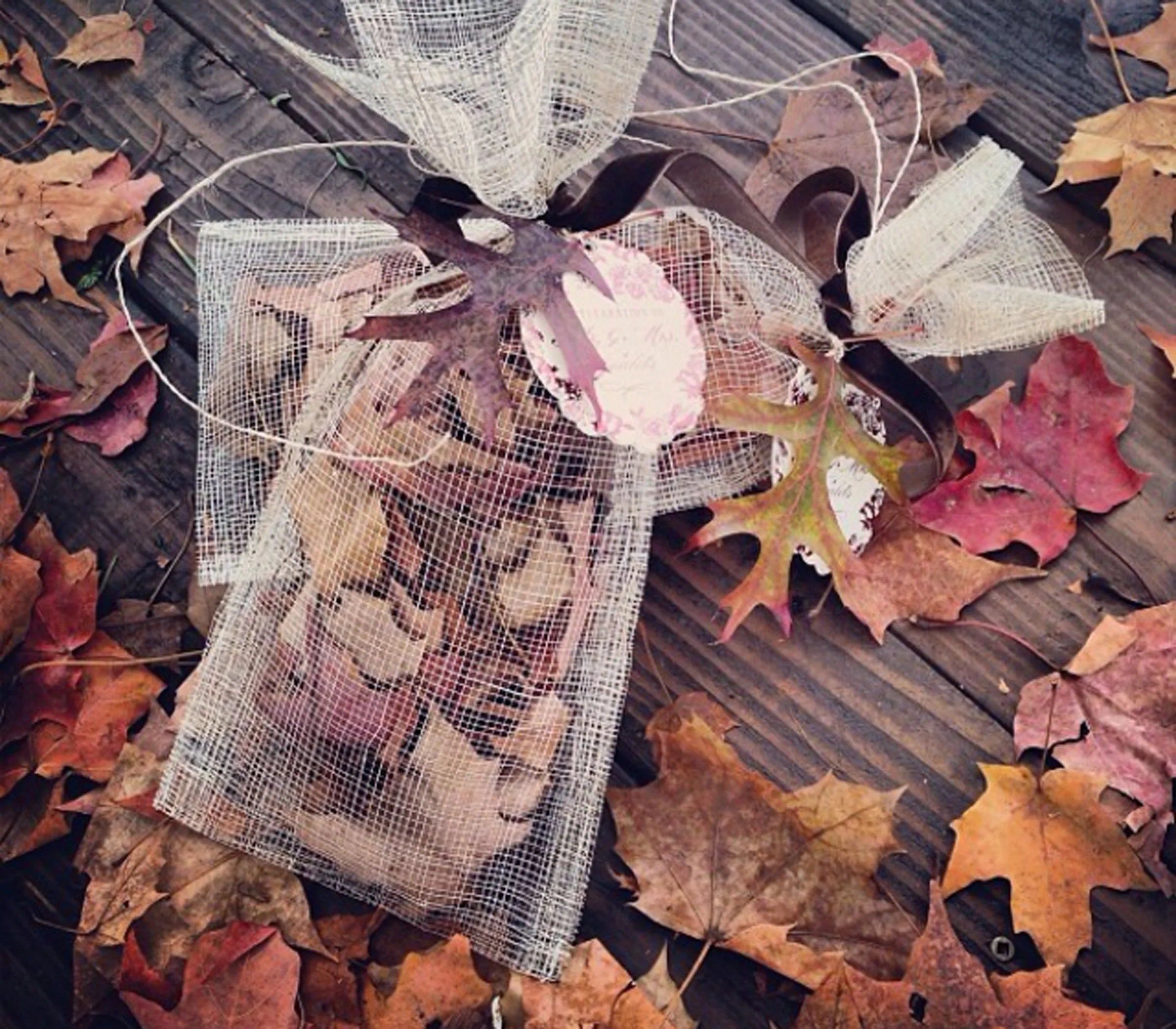 Autumn Leaves.jpg