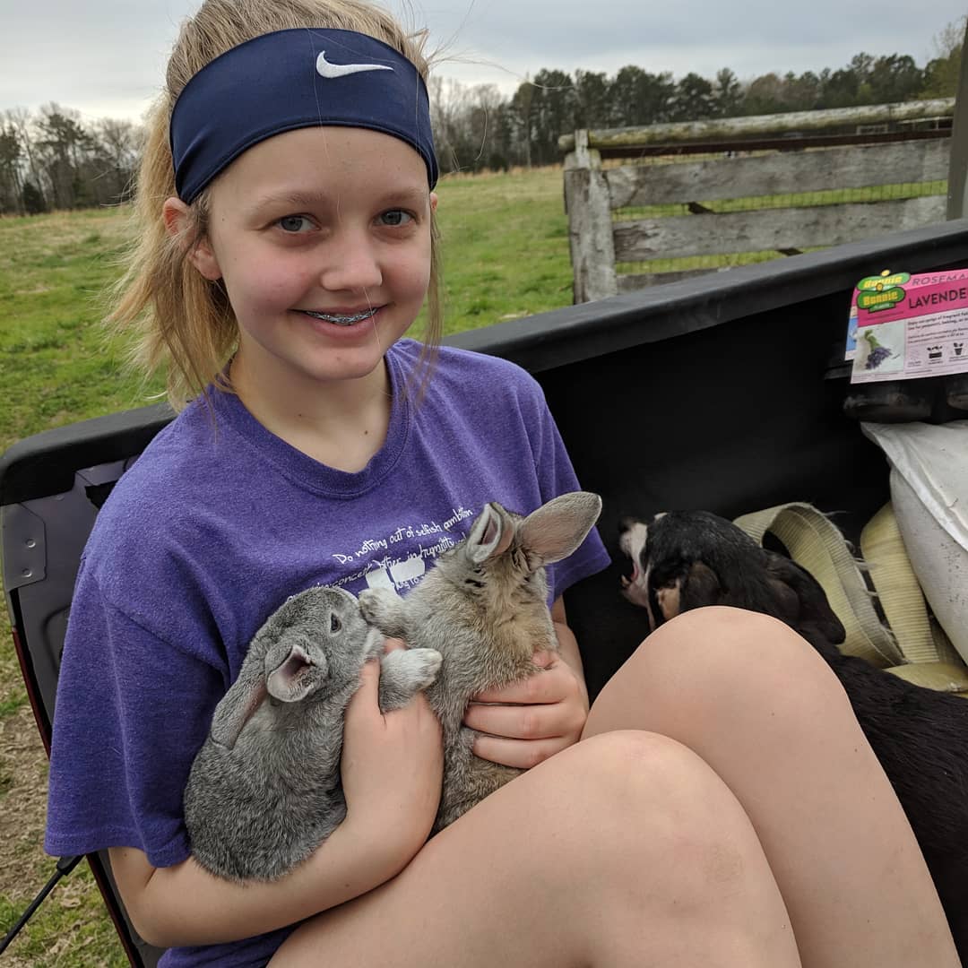 Life and Death on The Farm
