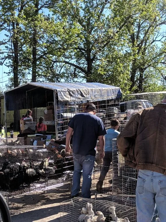 The Sale Barn