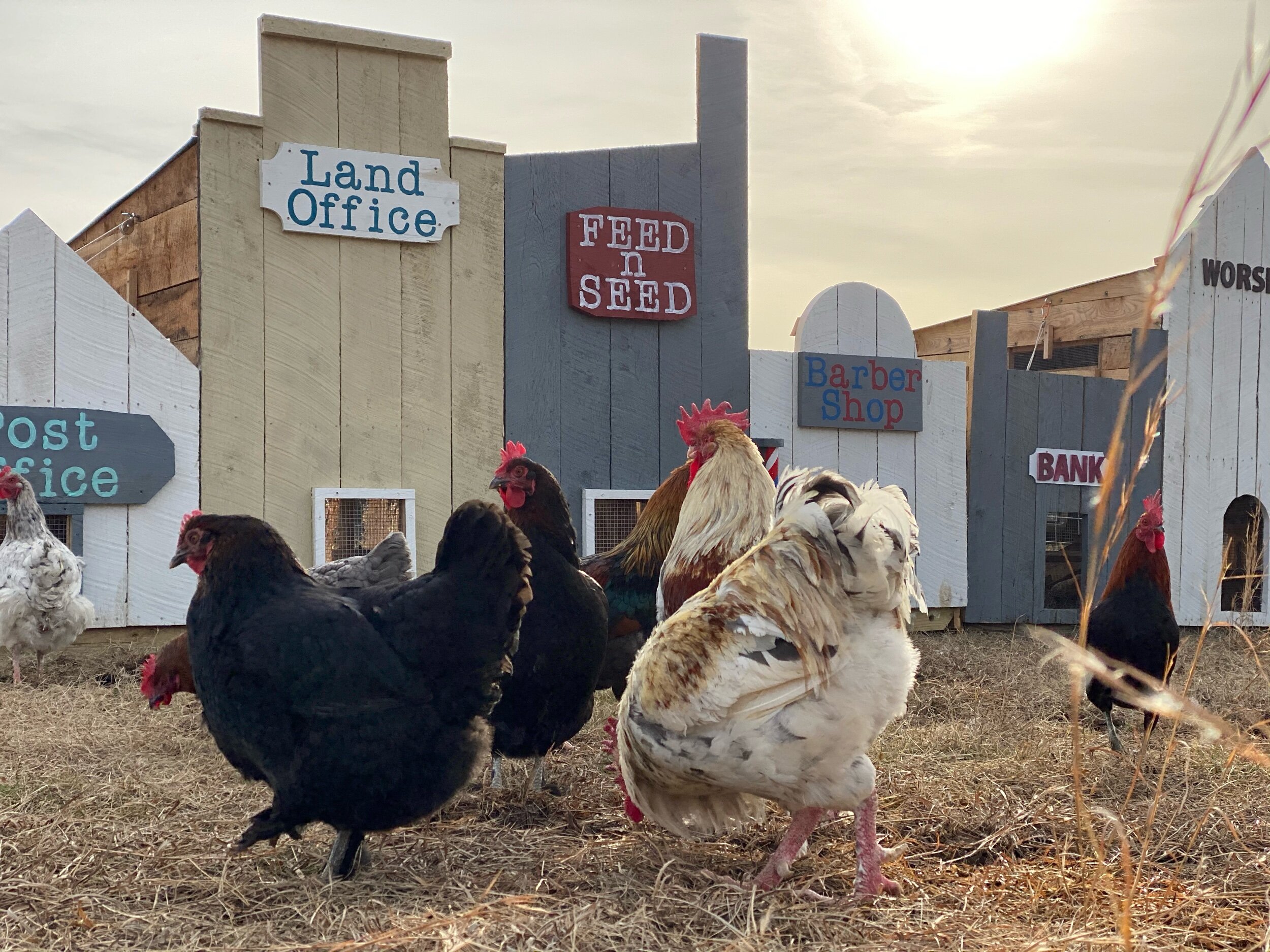 State of the Farm - 2021