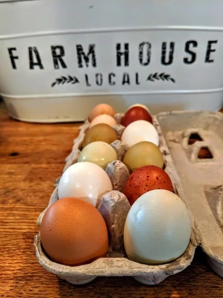 Adopt-a-Hen and Lay It Forward: Barnyard Mix Eggs