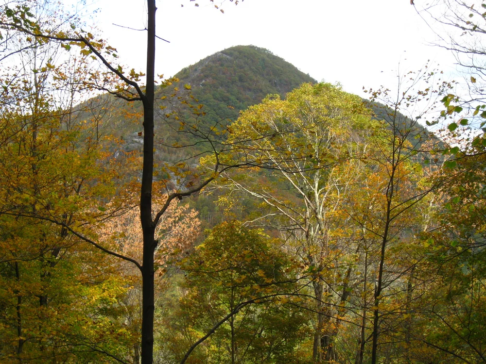 Massachusetts — OldGrowth Forest Network