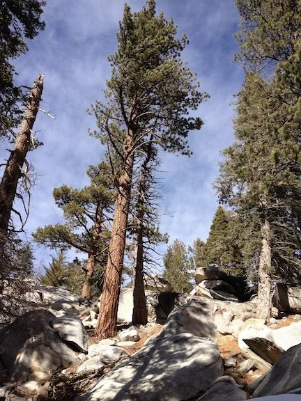 Deer Springs Trail 1.jpg