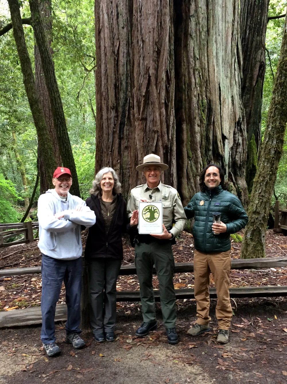 Big Basin Redwoods State Park Old Growth Forest Network
