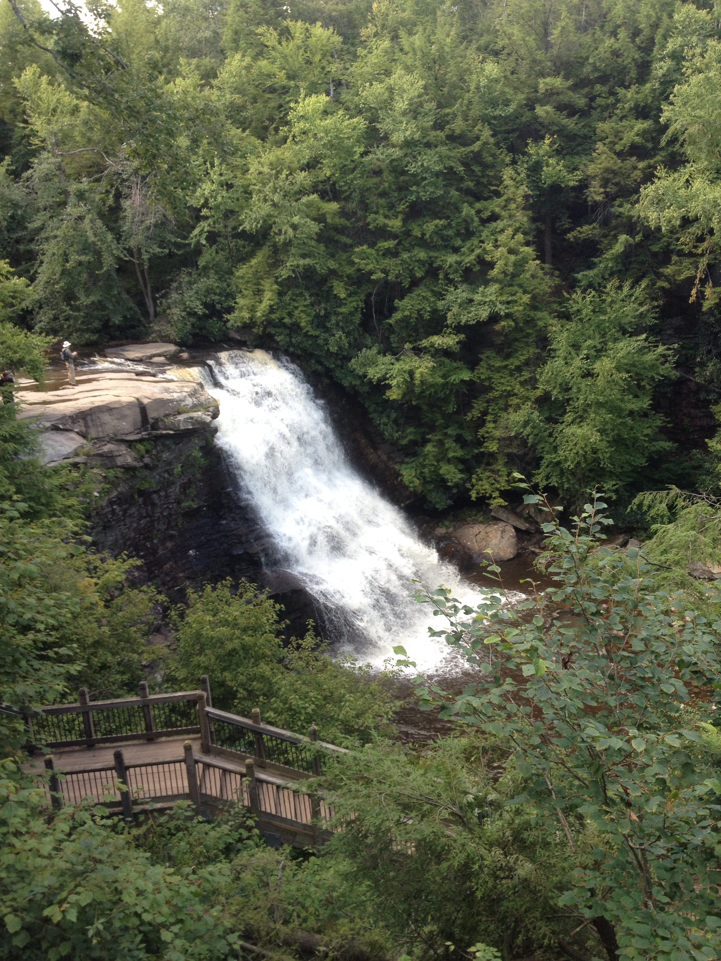 swallow falls