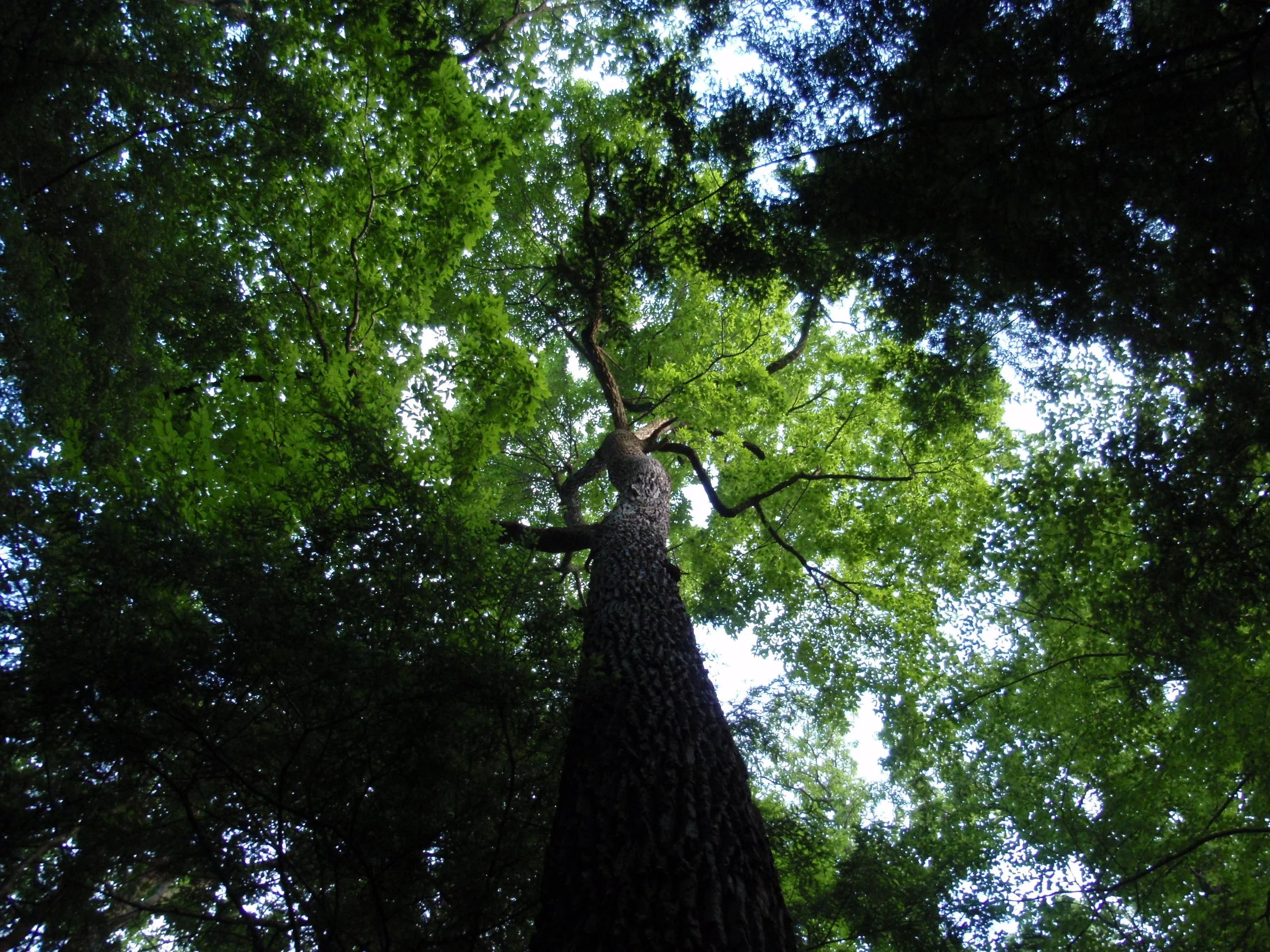 Sandy Delta 09 116.jpg
