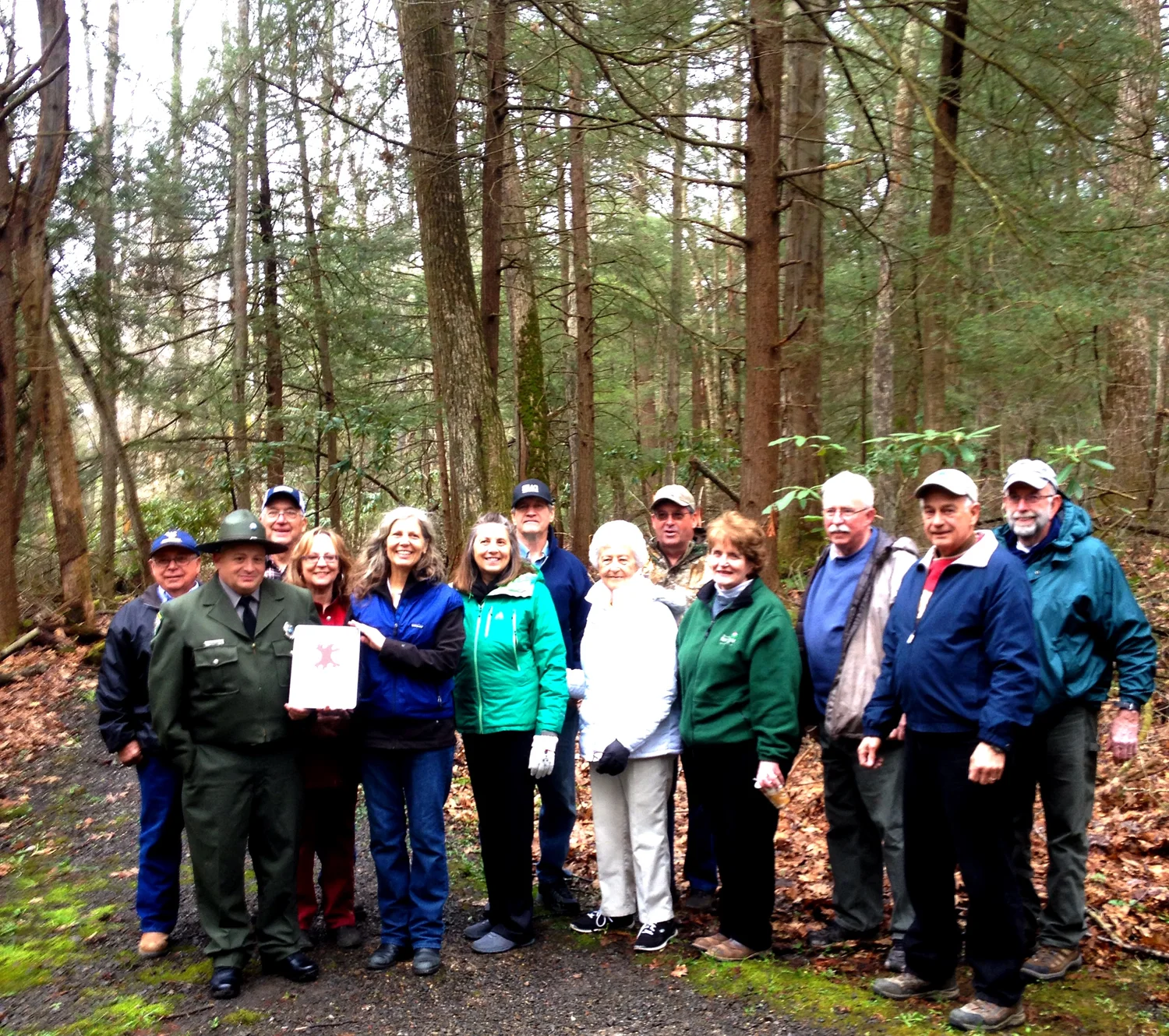 Cathedral State Park — Old-Growth Forest Network