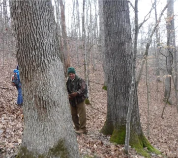 Beech Fork State Park.jpg