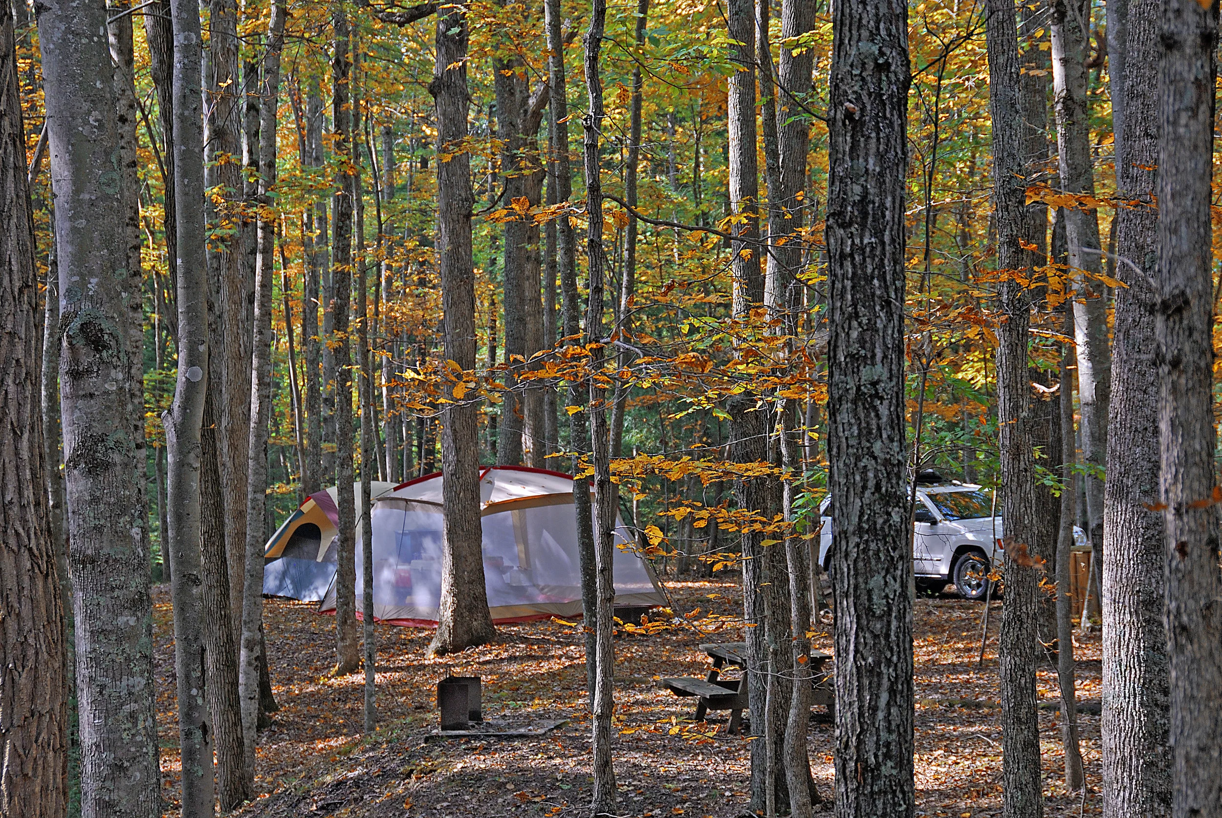 Campground 1b HiRes.jpg