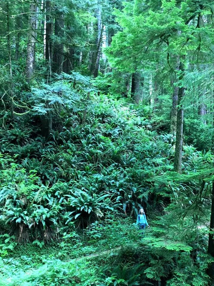 Joan in Siuslaw National Forest by Susan Ives.jpg