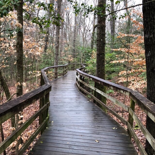 Congaree NP boardwalk copy.jpeg