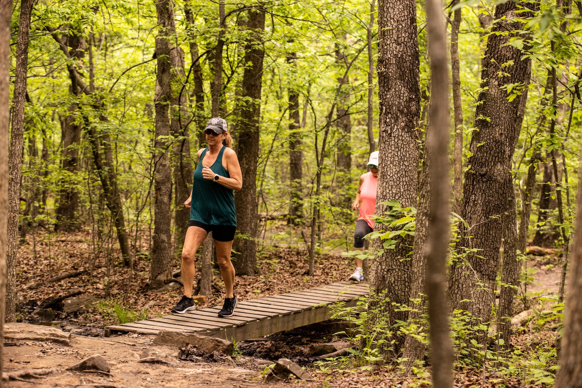 Turkey Mountain Urban Wilderness — Old-Growth Forest Network