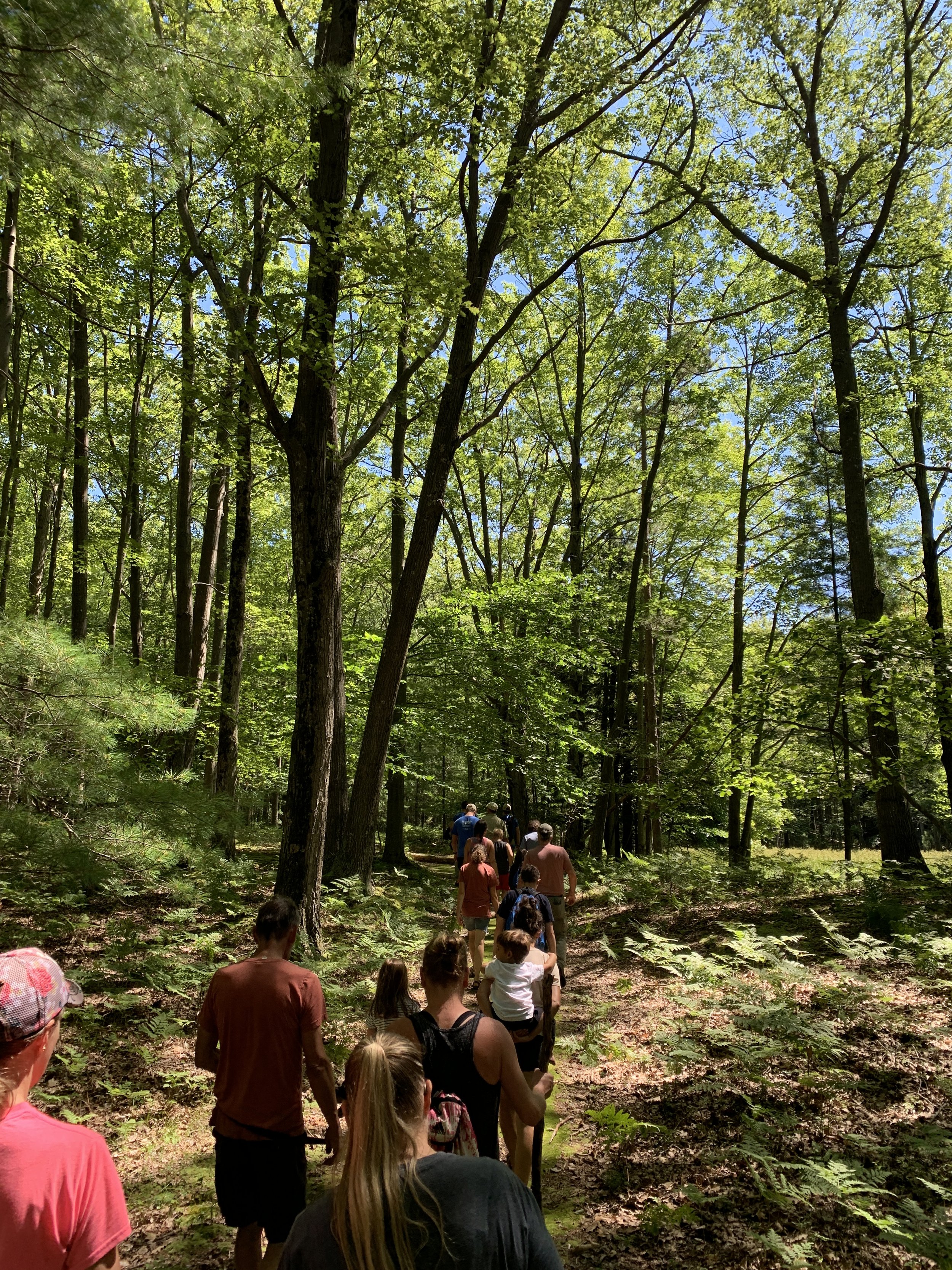 Nordhouse Dunes Wilderness Area - Huron-Manistee National Forests- Mason County, MI