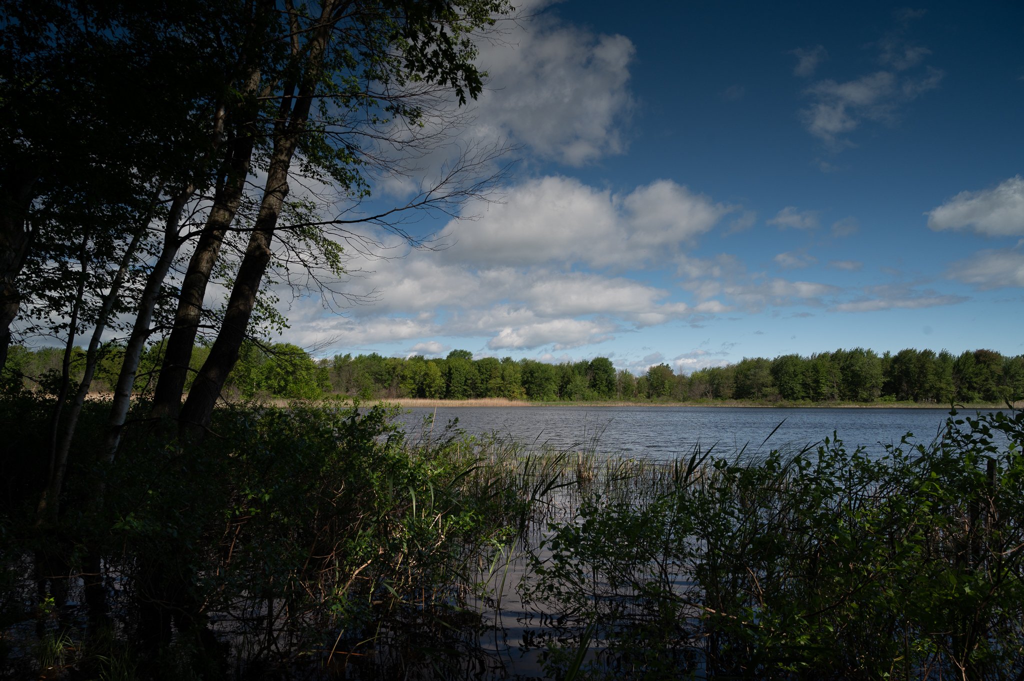 Sand Point Nature Preserve- Huron County, MI