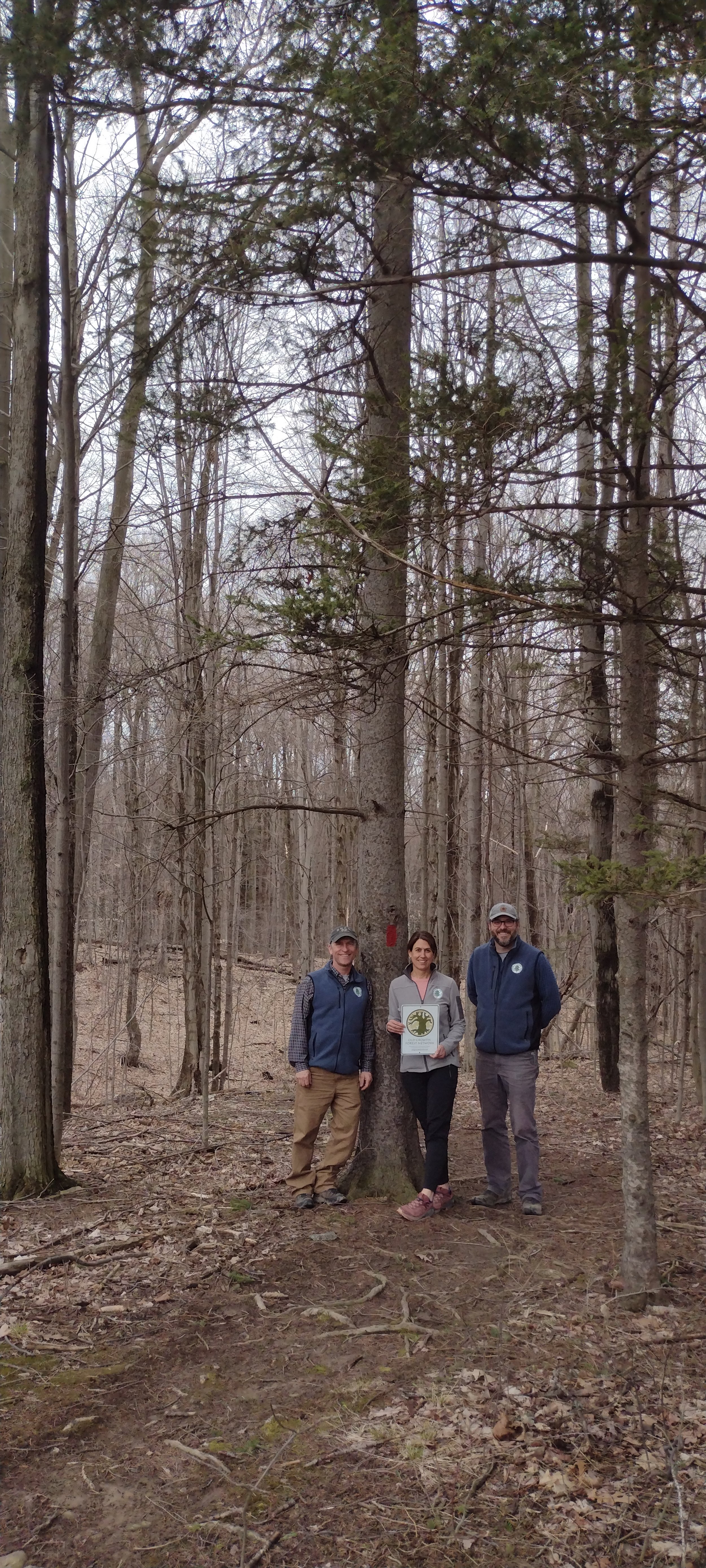 Bahar Nature Preserve- Cayuga County, NY