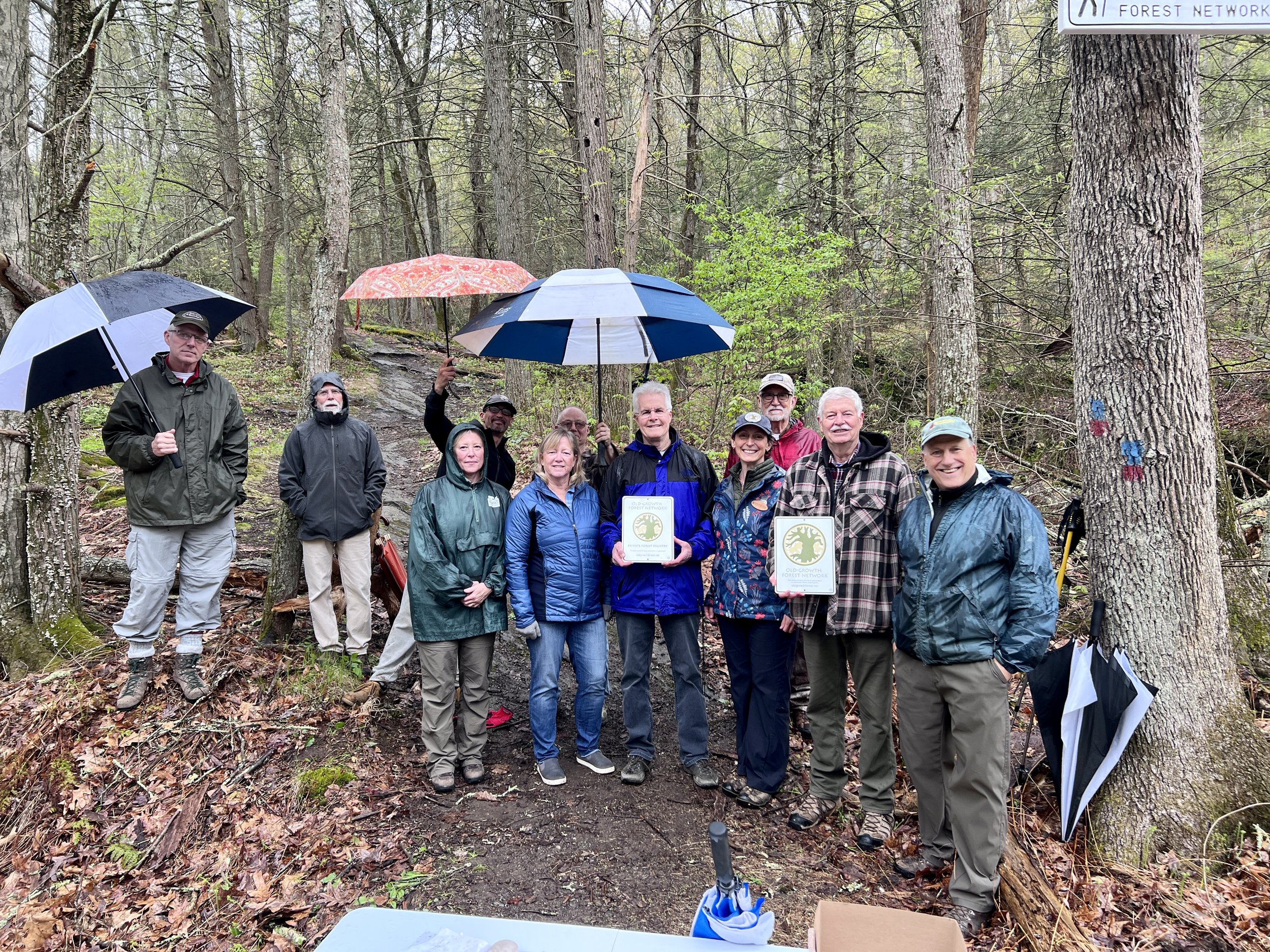 Webster Preserve/Echo Ridge plus Box Mountain (private)- Tolland County, CT