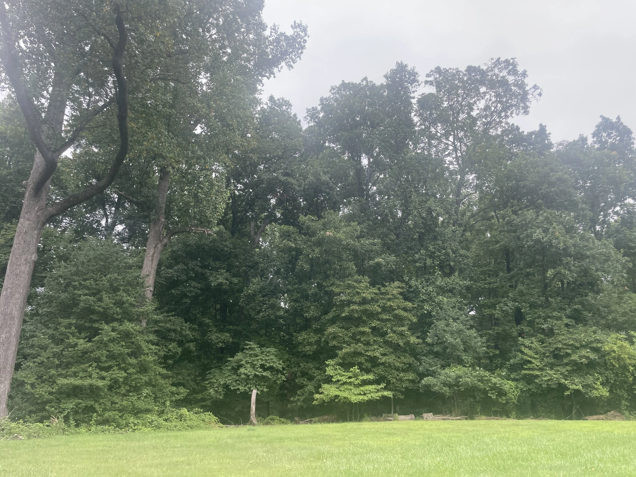 James Madison Landmark Forest — Old-Growth Forest Network
