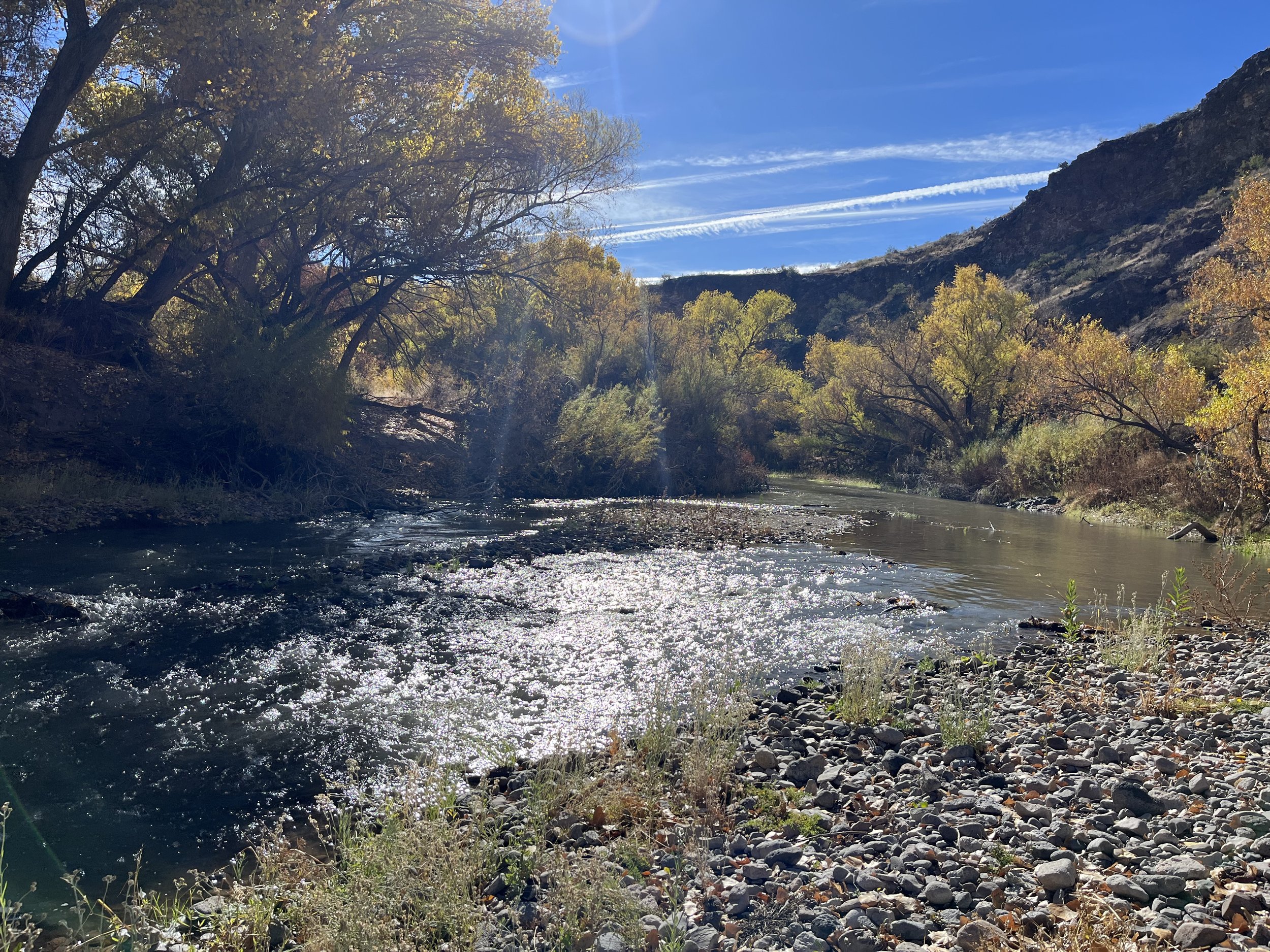 Photo courtesy of Luke Koenig, NM Wild