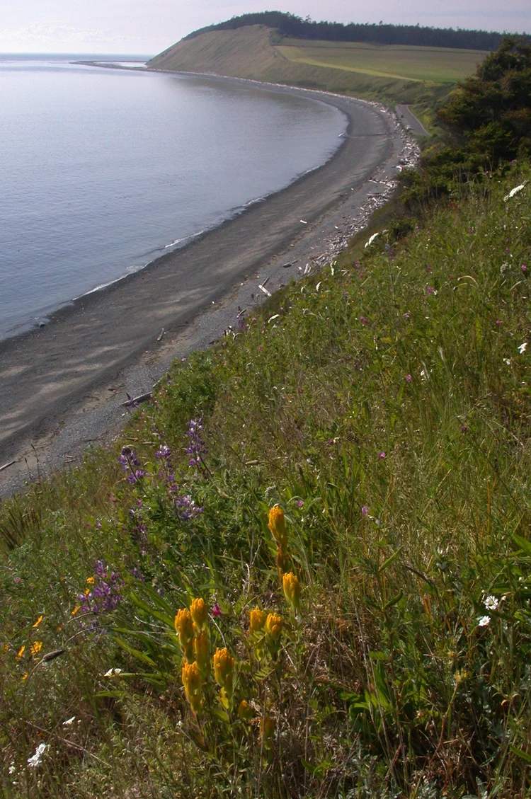 Admiralty Inlet Natural Area Preserve — Old-Growth Forest Network