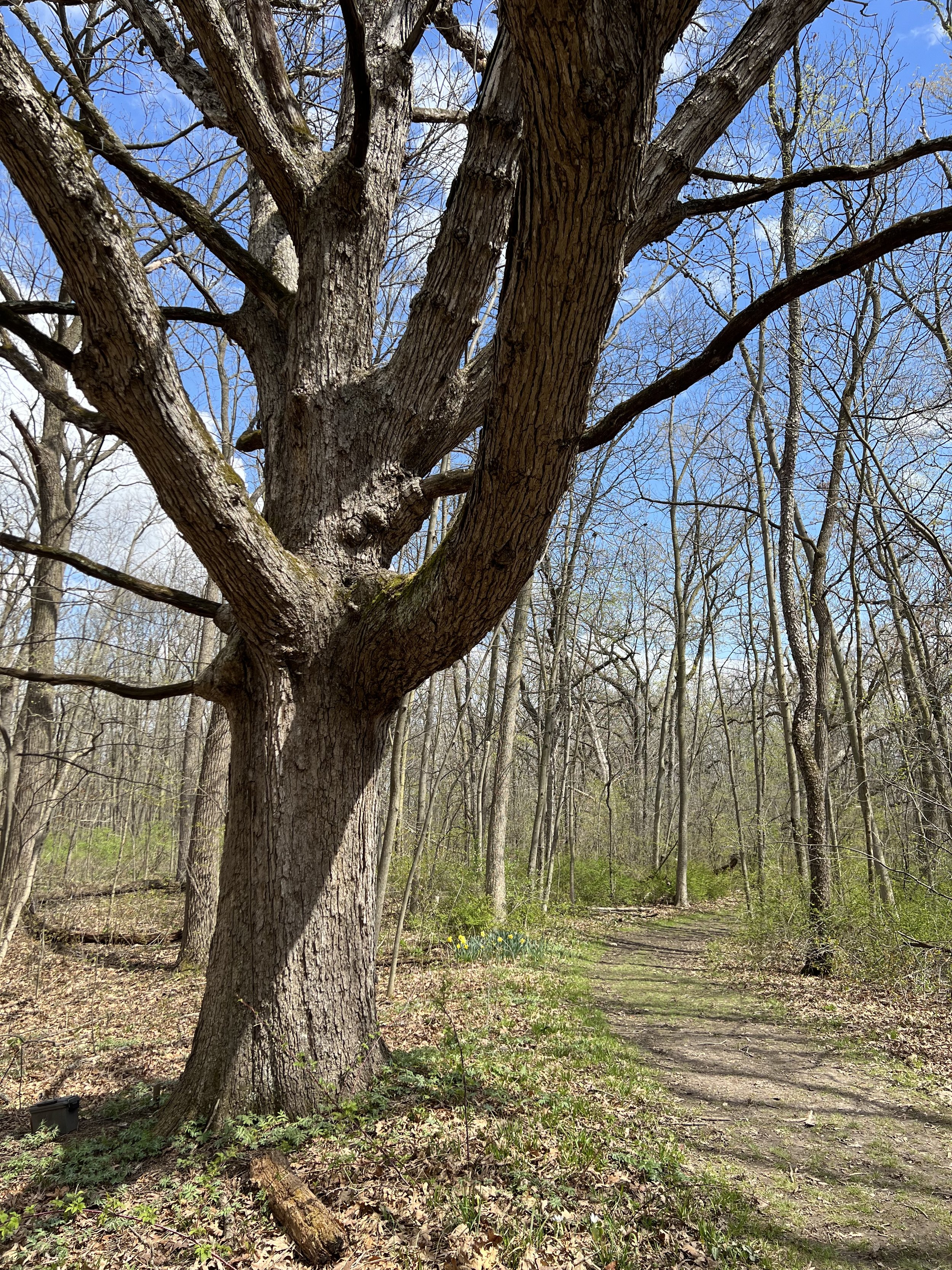 Photo courtesy of Pringle Nature Center