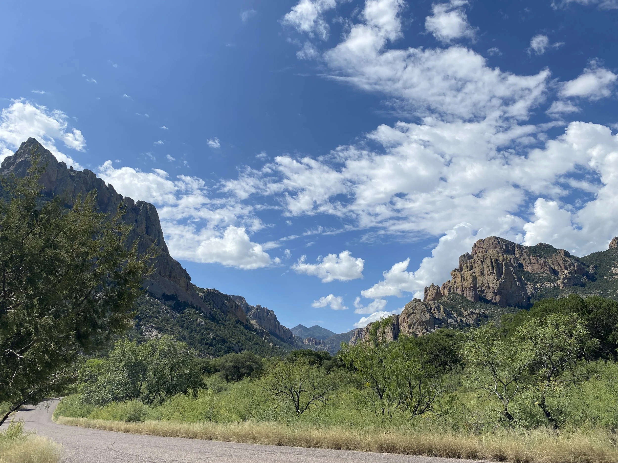 Cave Creek Canyon - Chiricahua Wilderness - Coronado National Forest, Cochise County, AZ