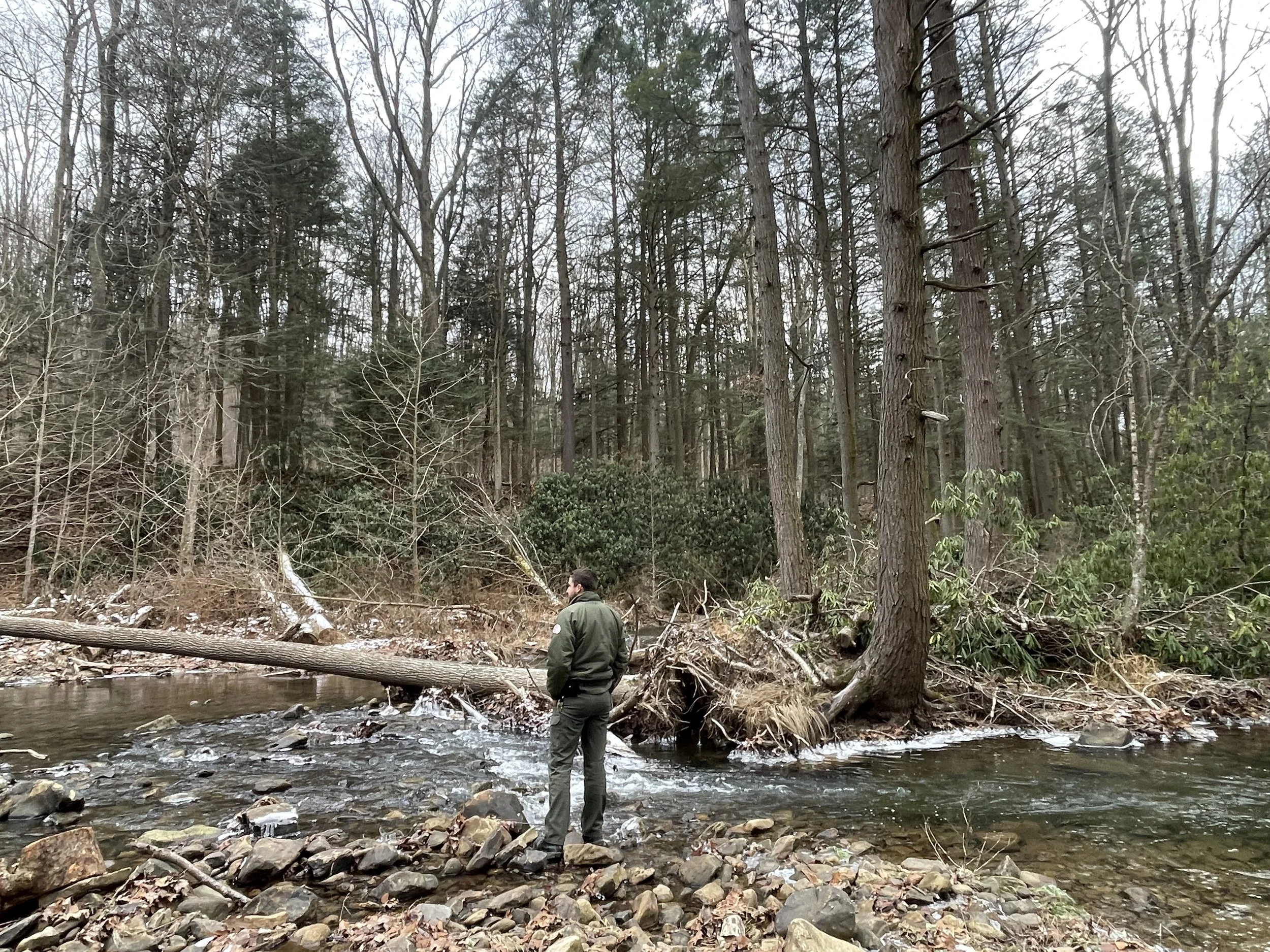 Klondike Ridge Recreation Area, Somerset County, PA