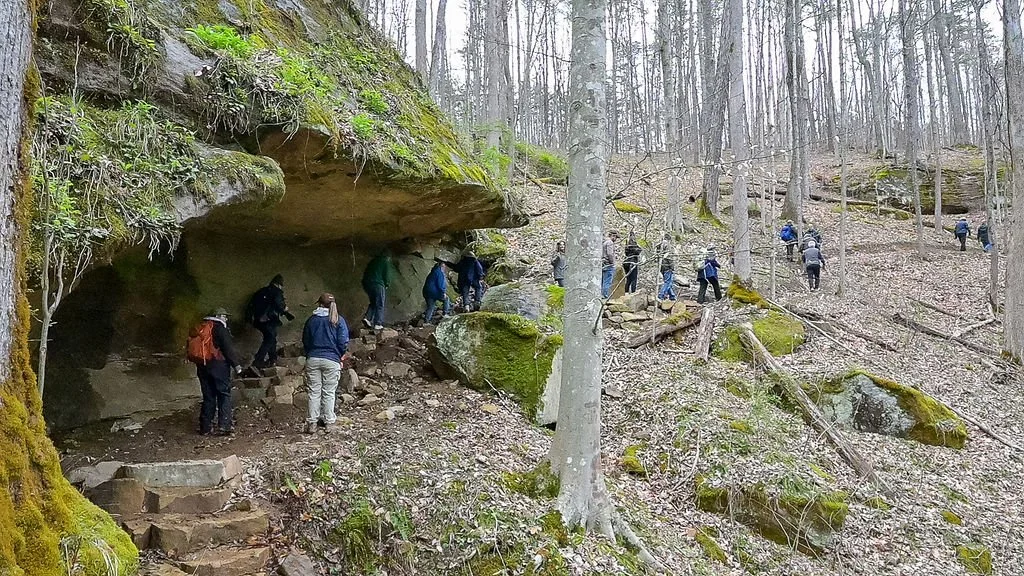 Hungry Beech Preserve, Roane County, WV
