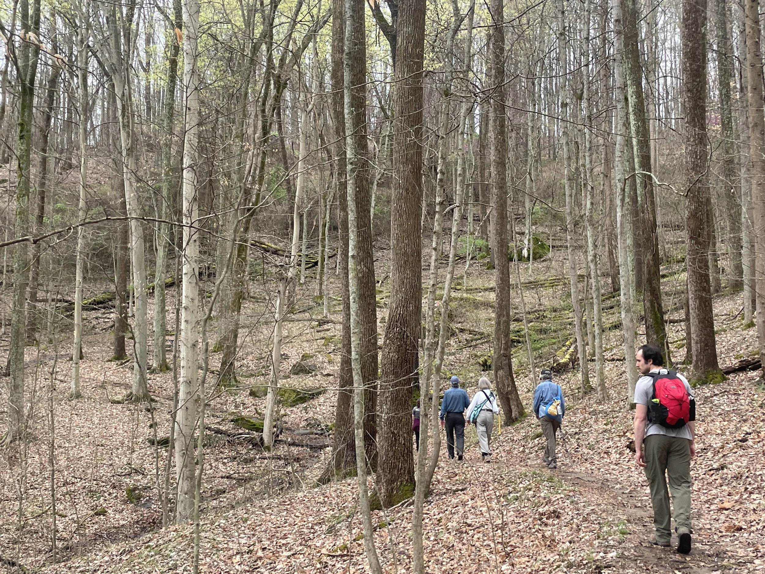 Wallace Hartman Nature Preserve, Kanawah County, WV