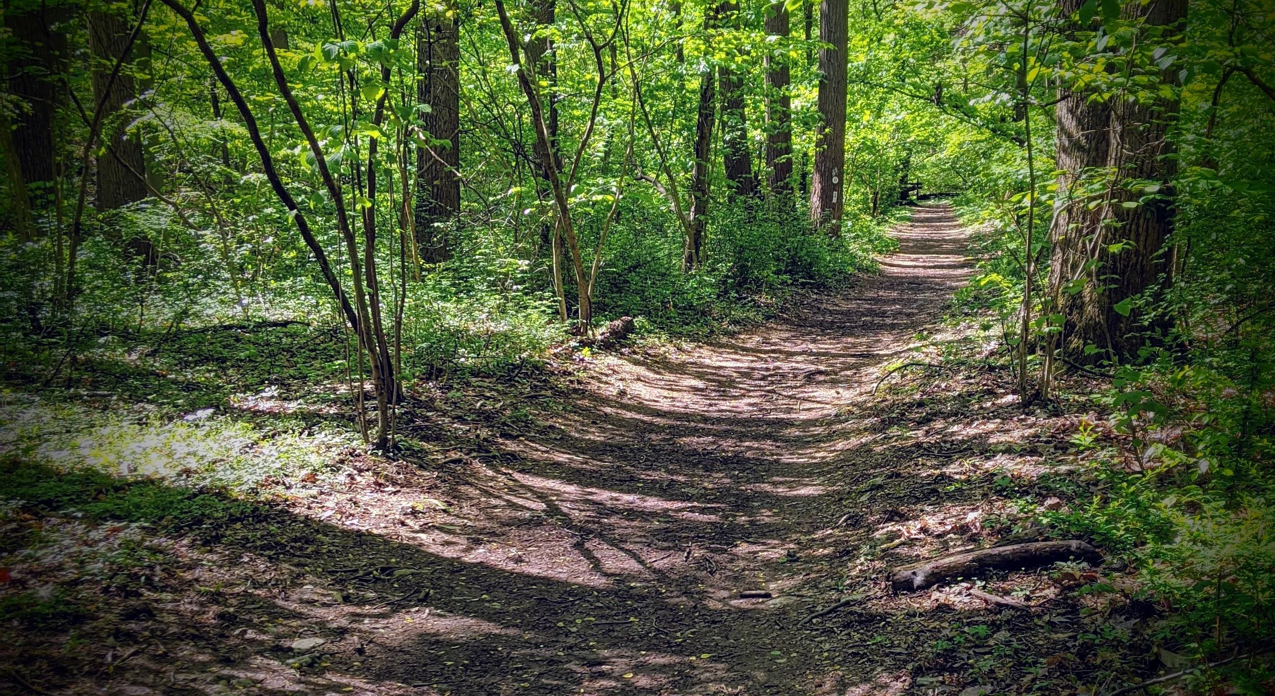 Photo courtesy of the McKaig Nature Education Center