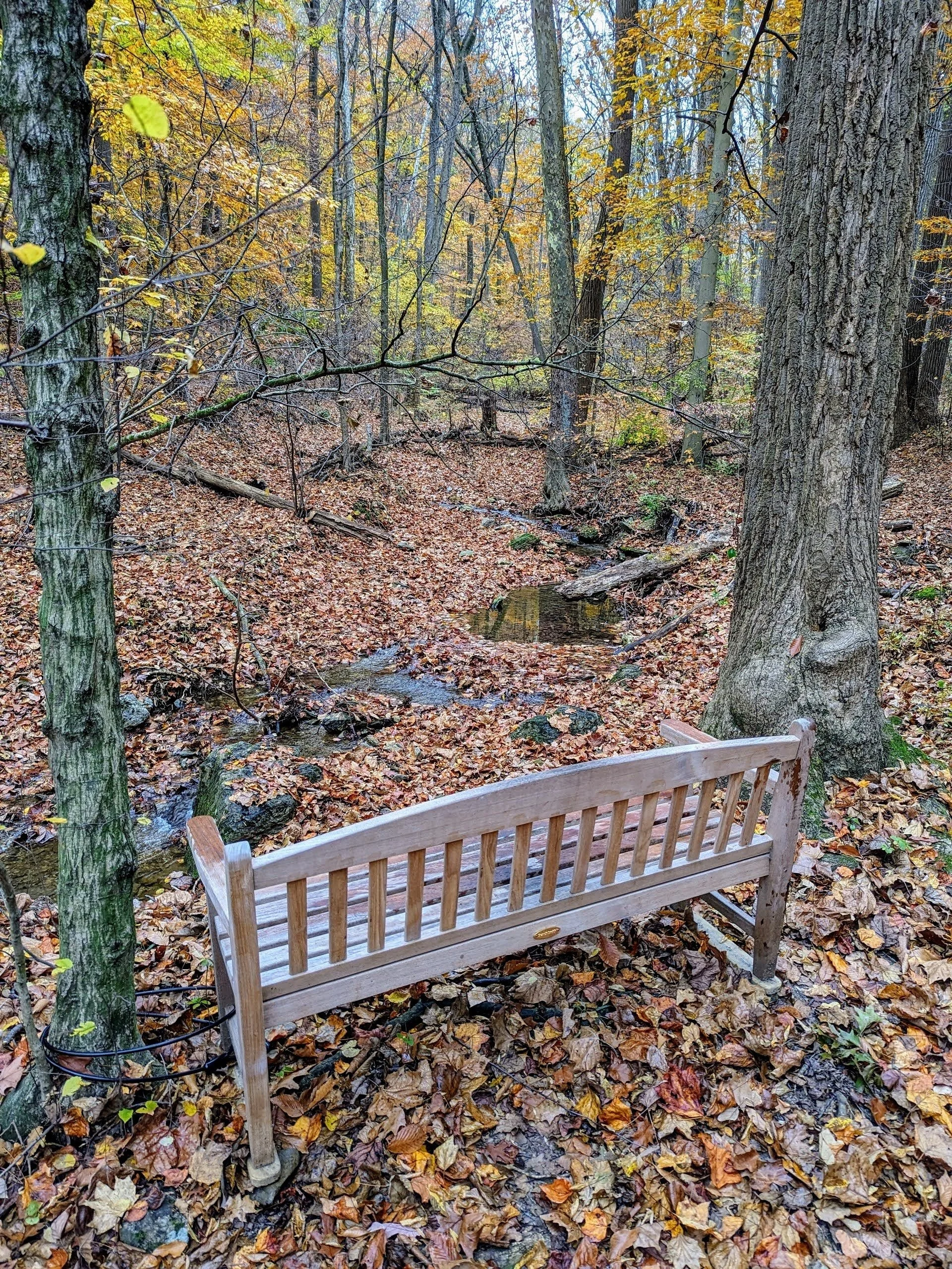 Photo courtesy of the McKaig Nature Education Center
