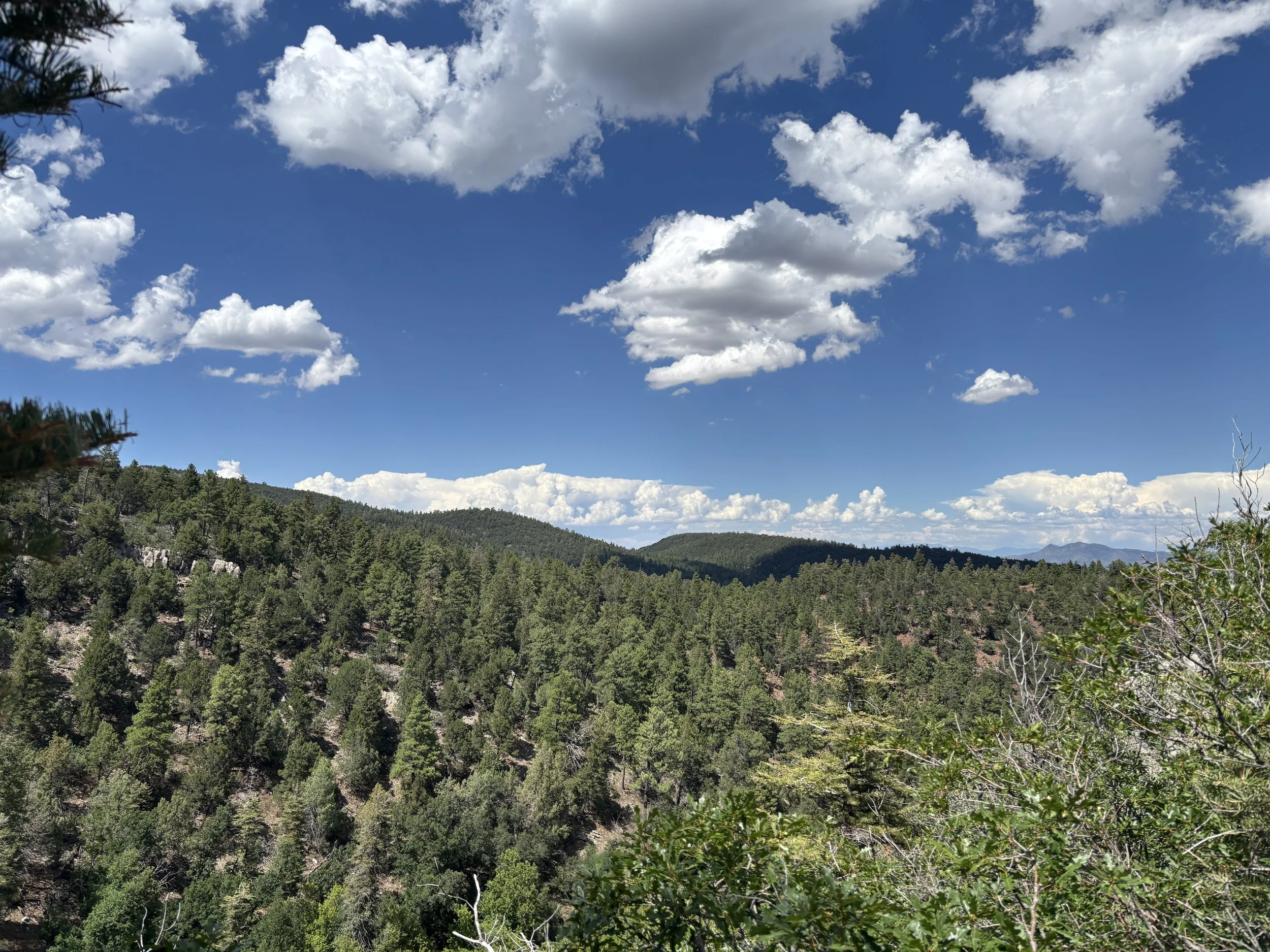 Sandias1.JPG