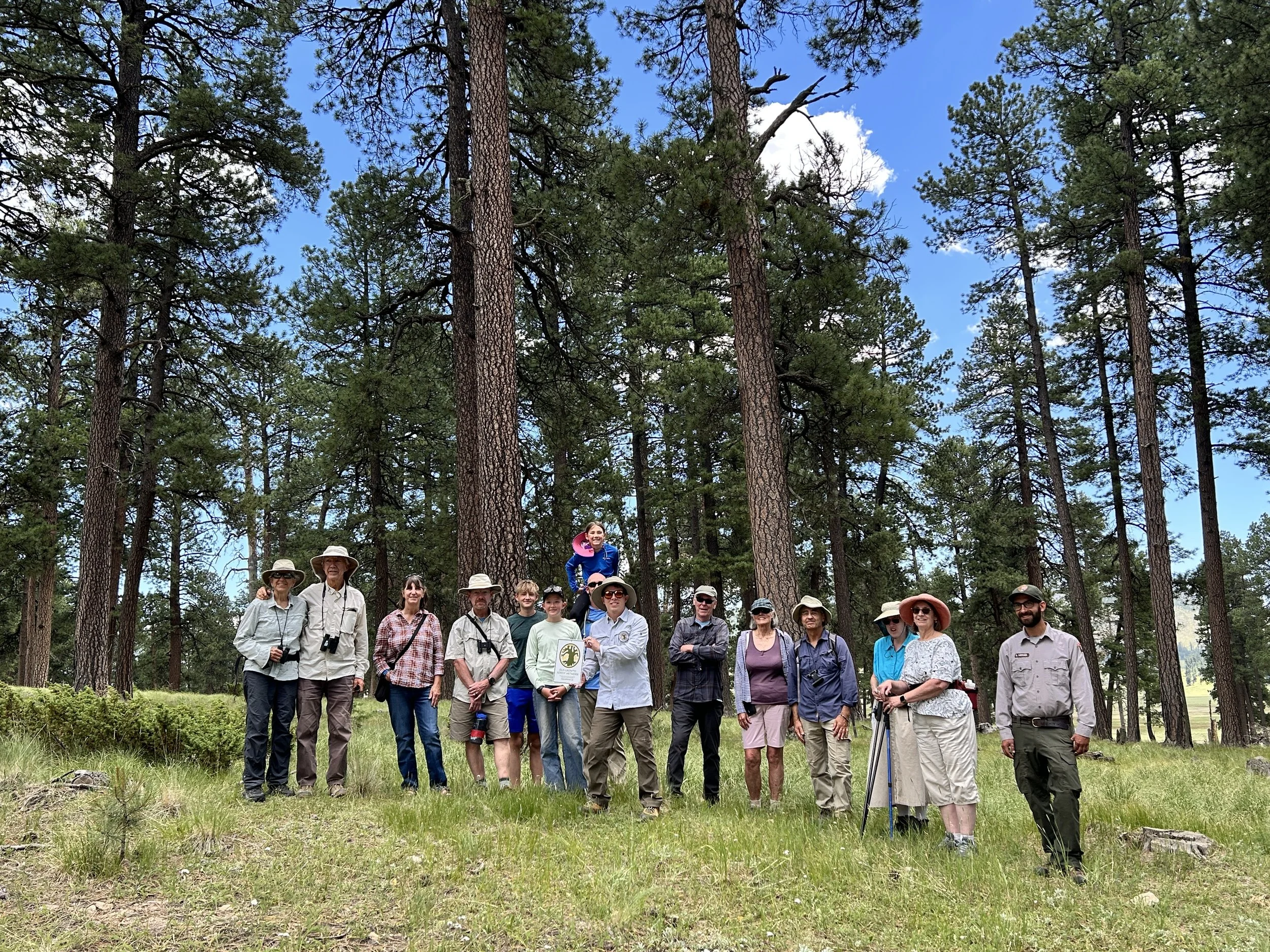 VallesCaldera7.JPG