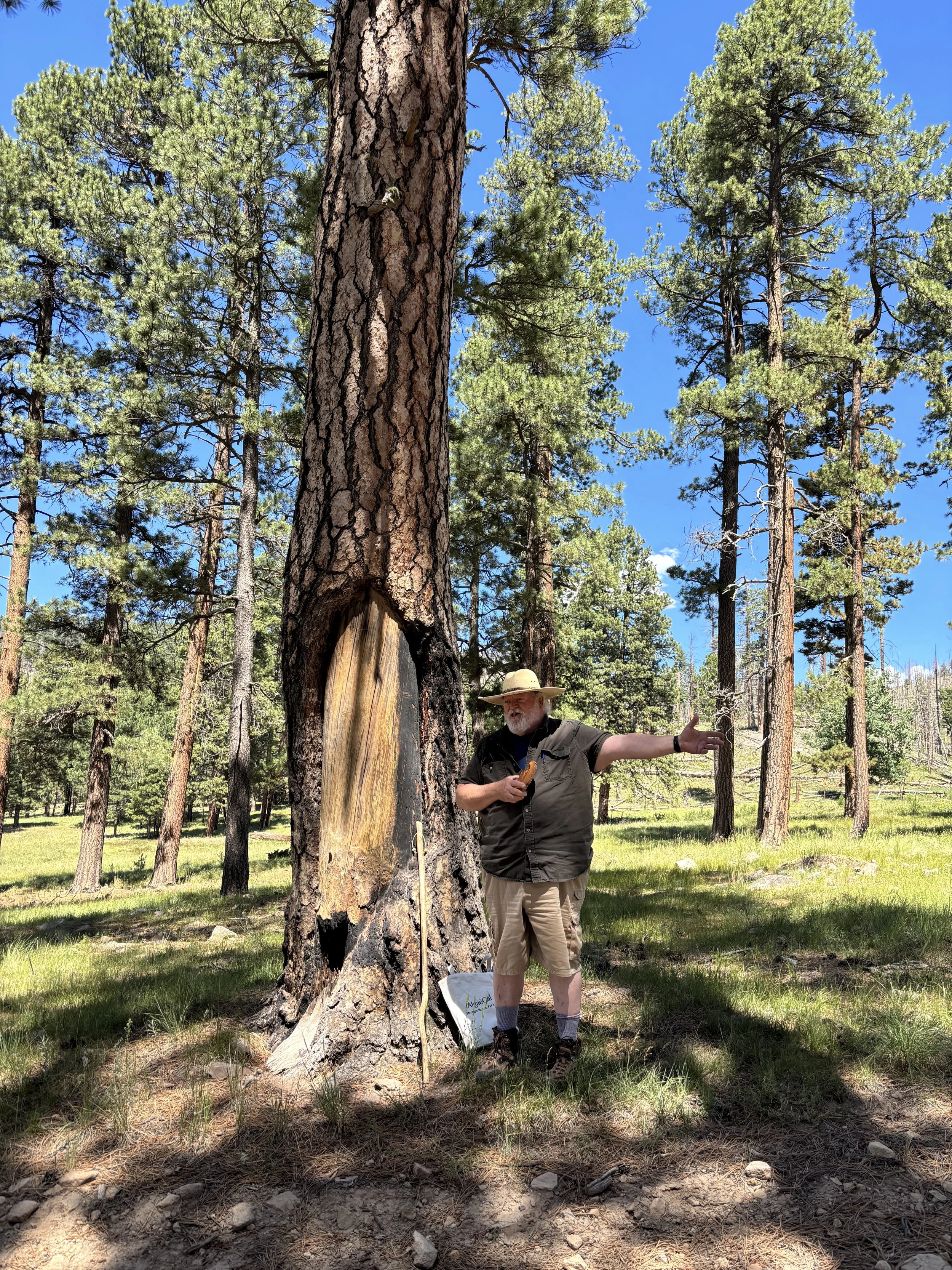 VallesCaldera5.JPG