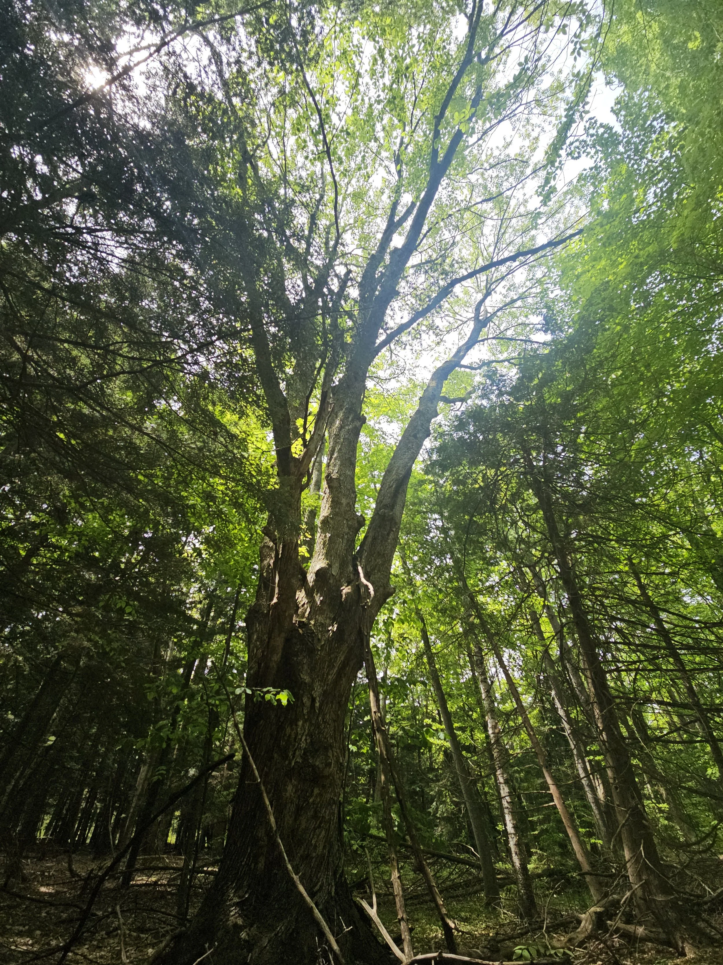 20240524_141332.jpg