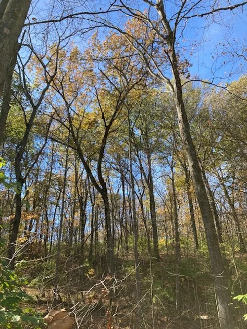 image7.jpeg