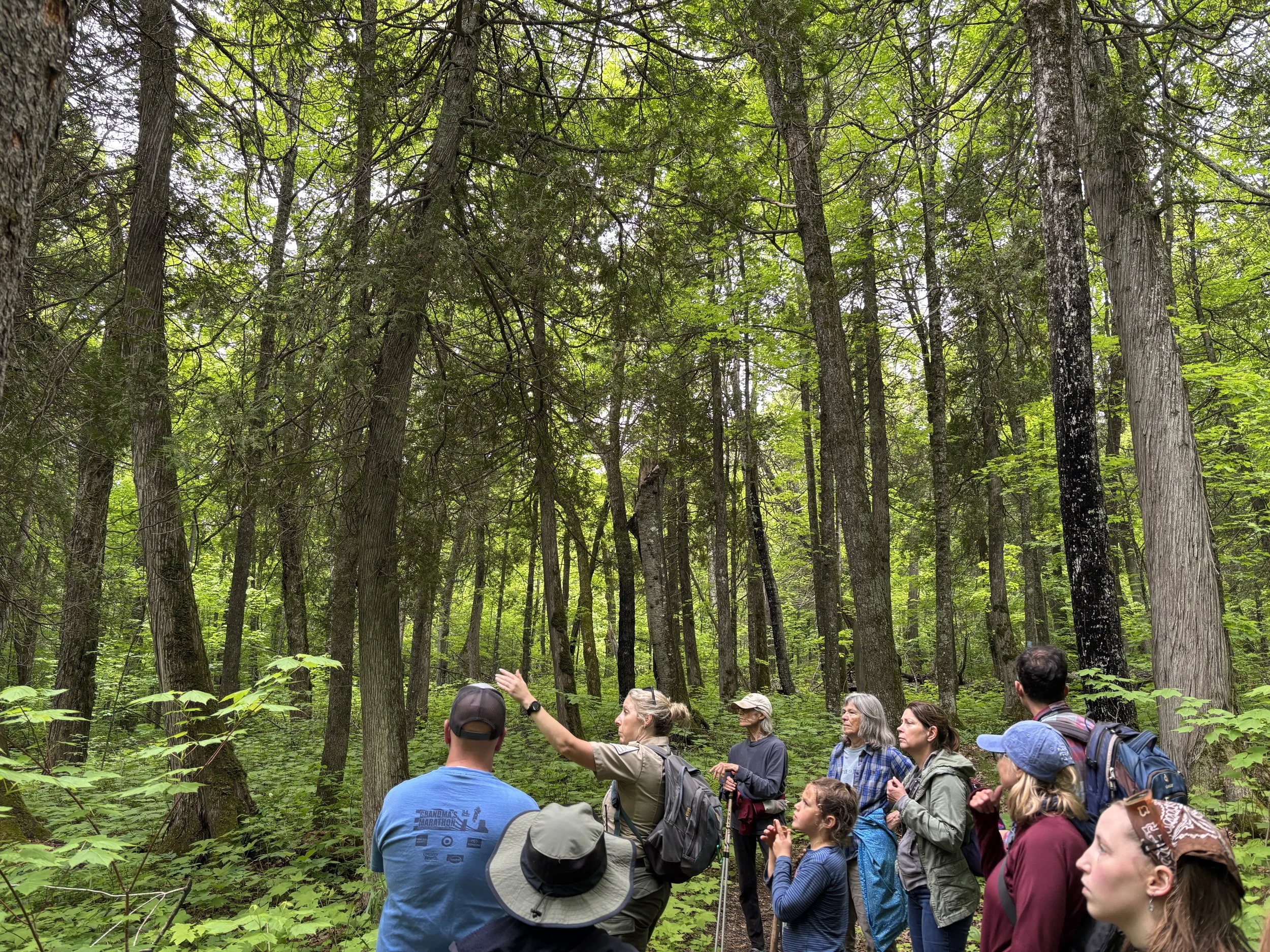 Tettegouche State Park