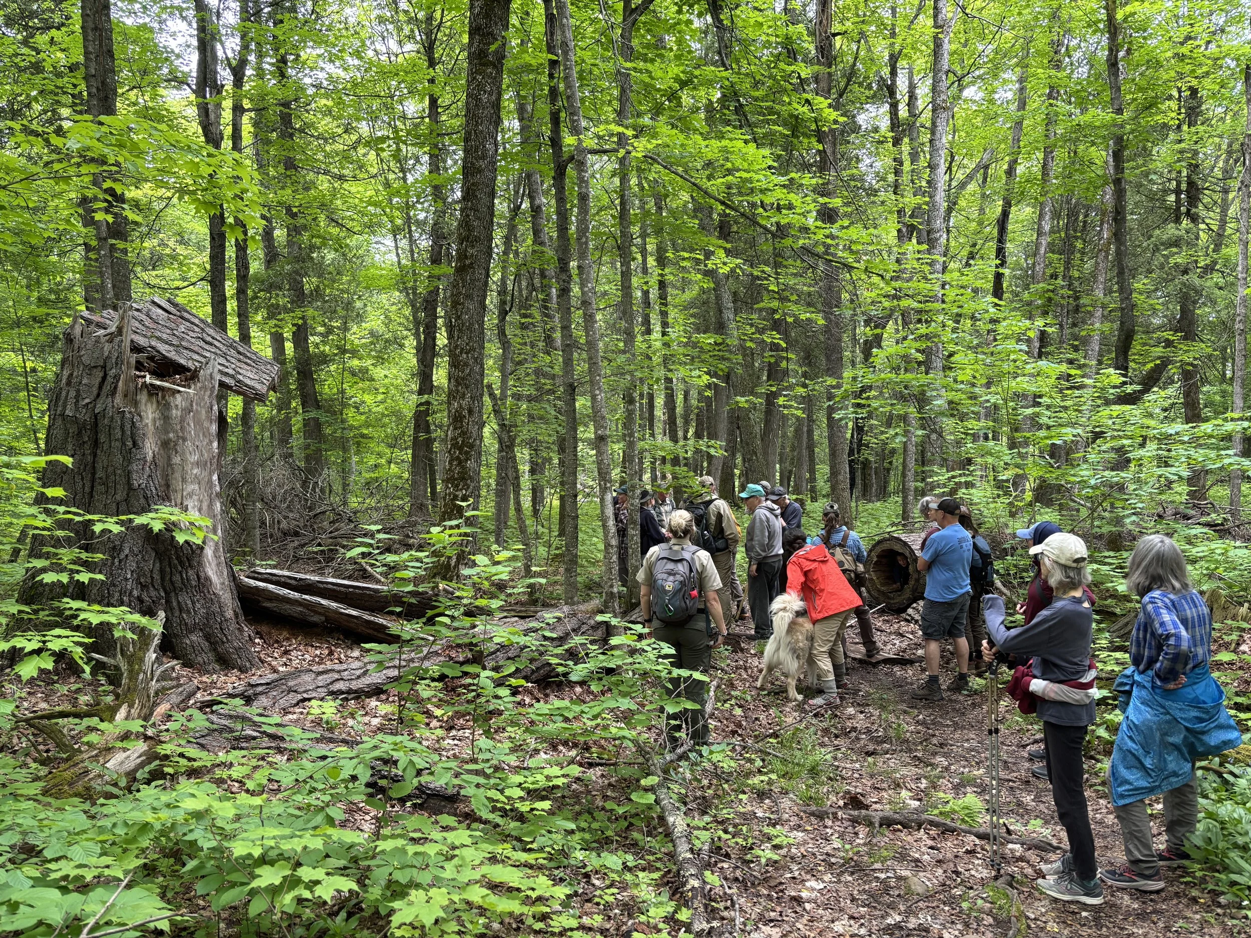 Tettegouche State Park