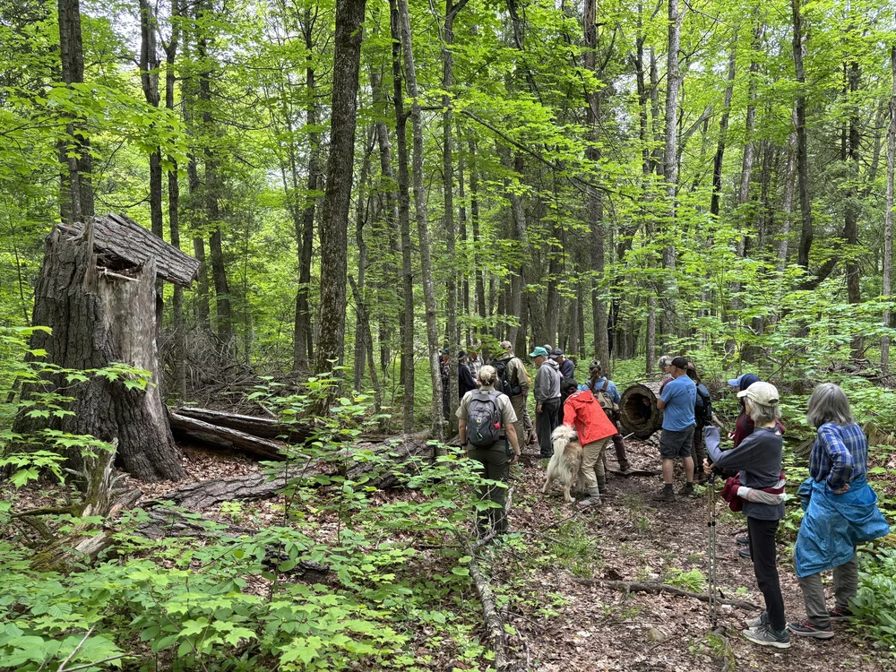 Tettegouche State Park