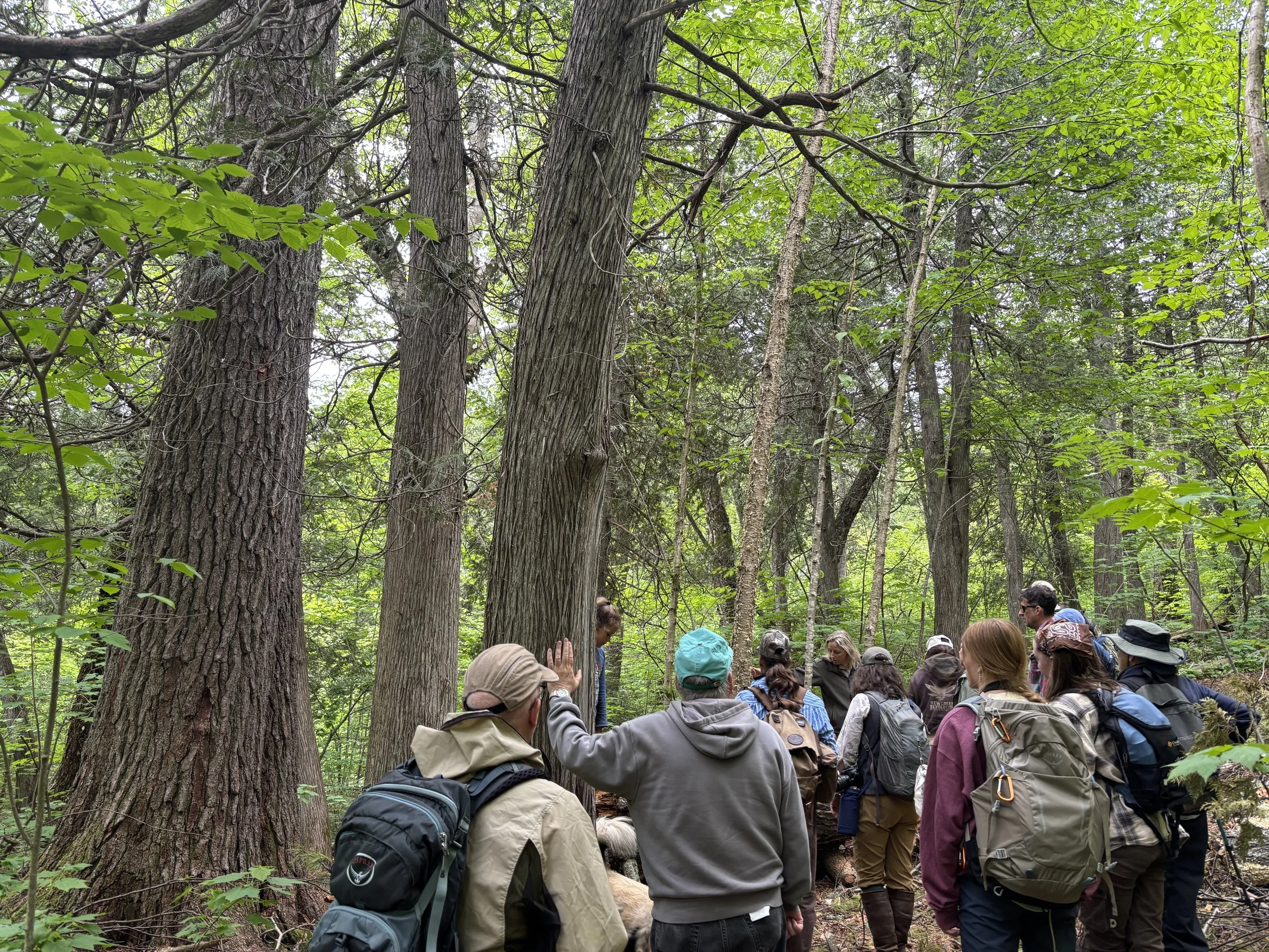 George H. Crosby Manitou State Park