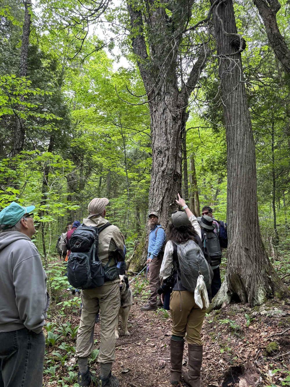 George H. Crosby Manitou State Park