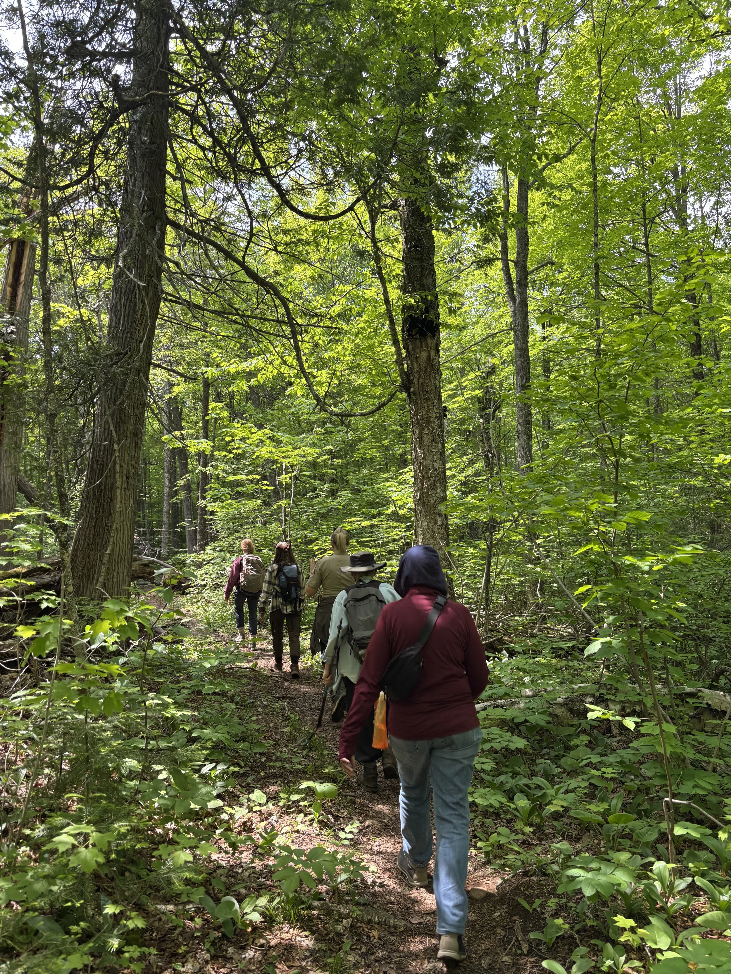 George H. Crosby Manitou State Park