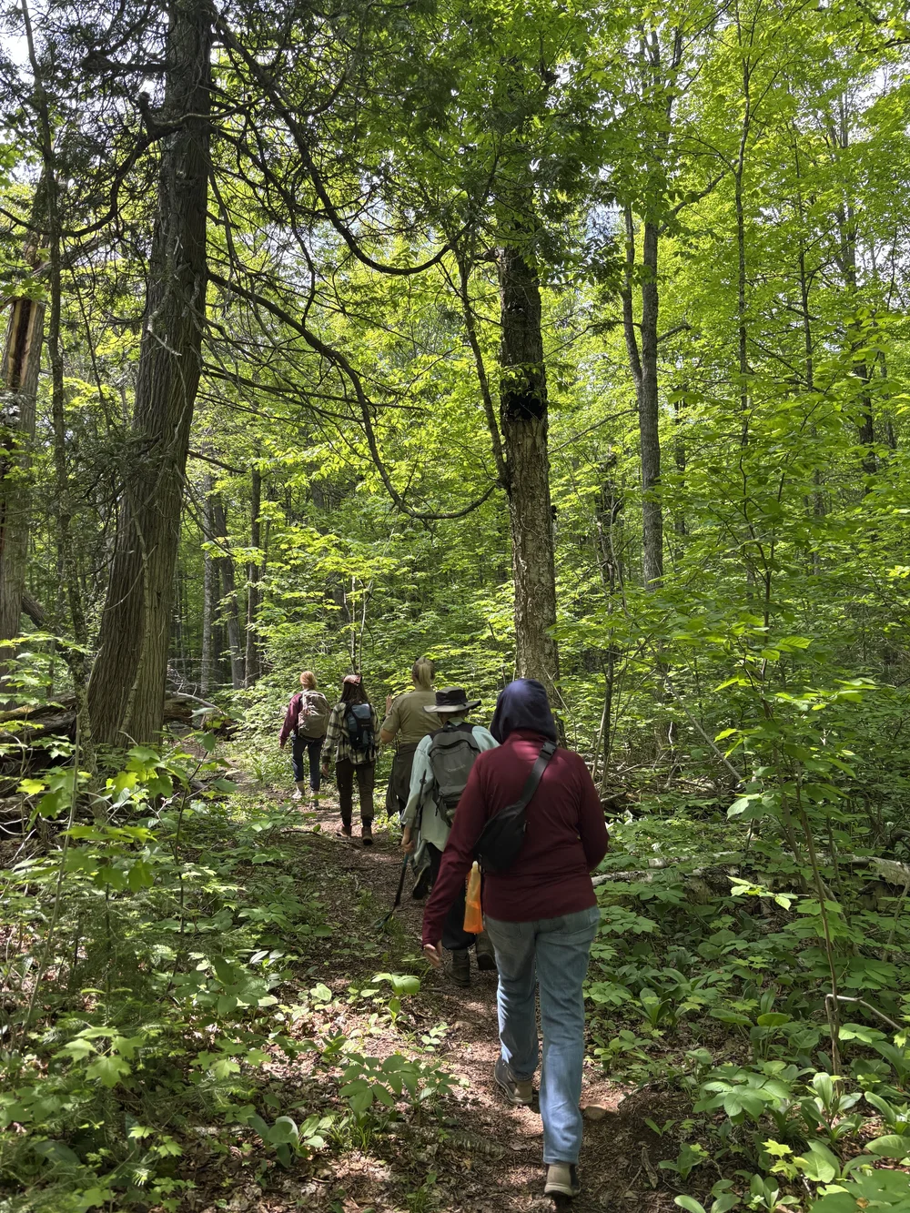 George H. Crosby Manitou State Park