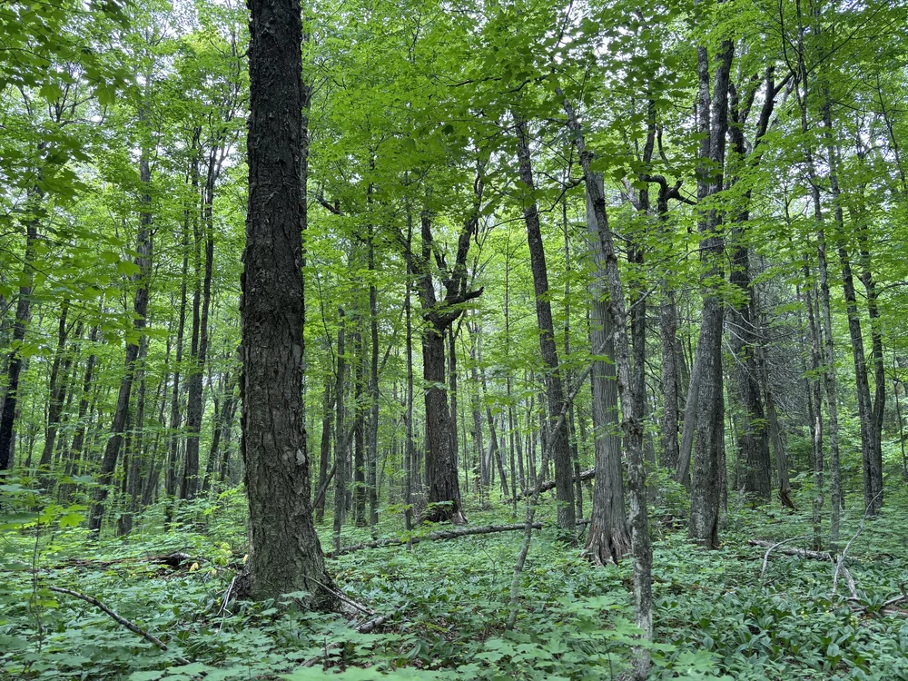 George H. Crosby Manitou State Park