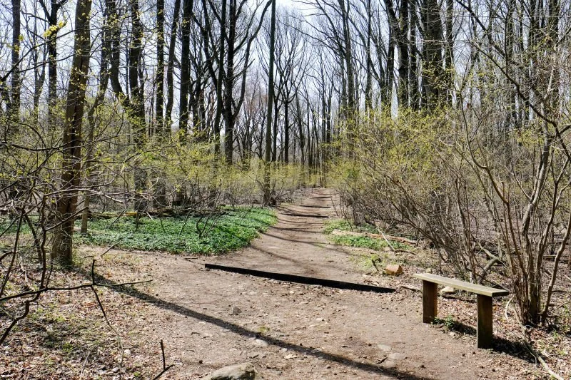 Photo courtesy of NYC Parks