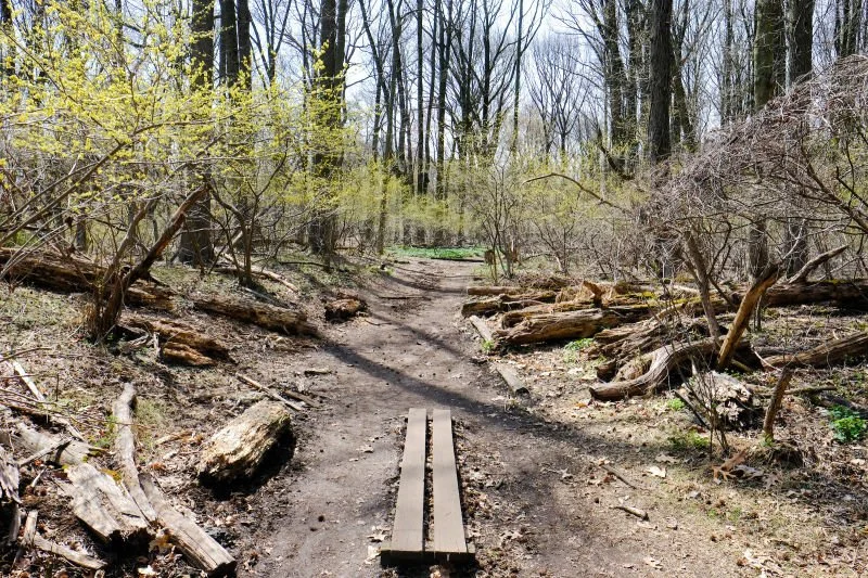 Photo courtesy of NYC Parks