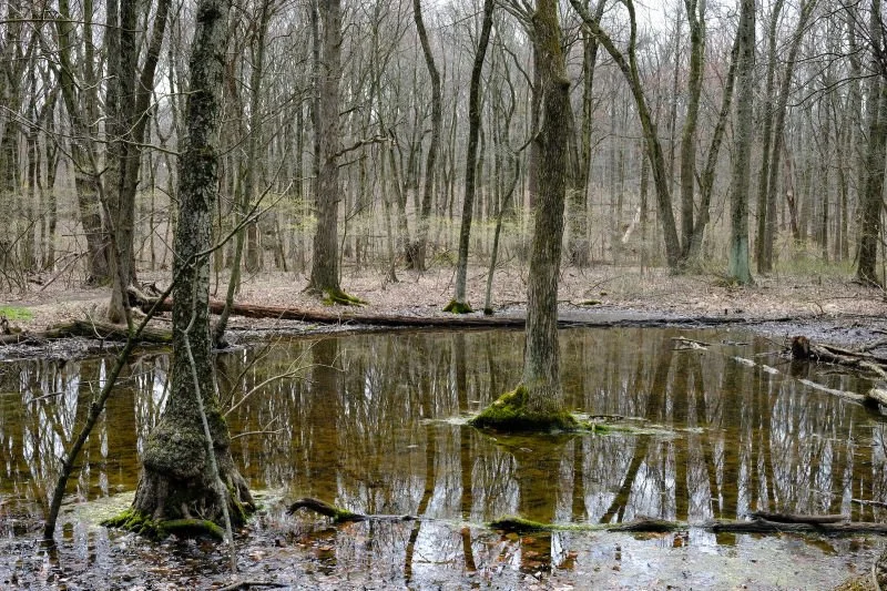 Photo courtesy of NYC Parks